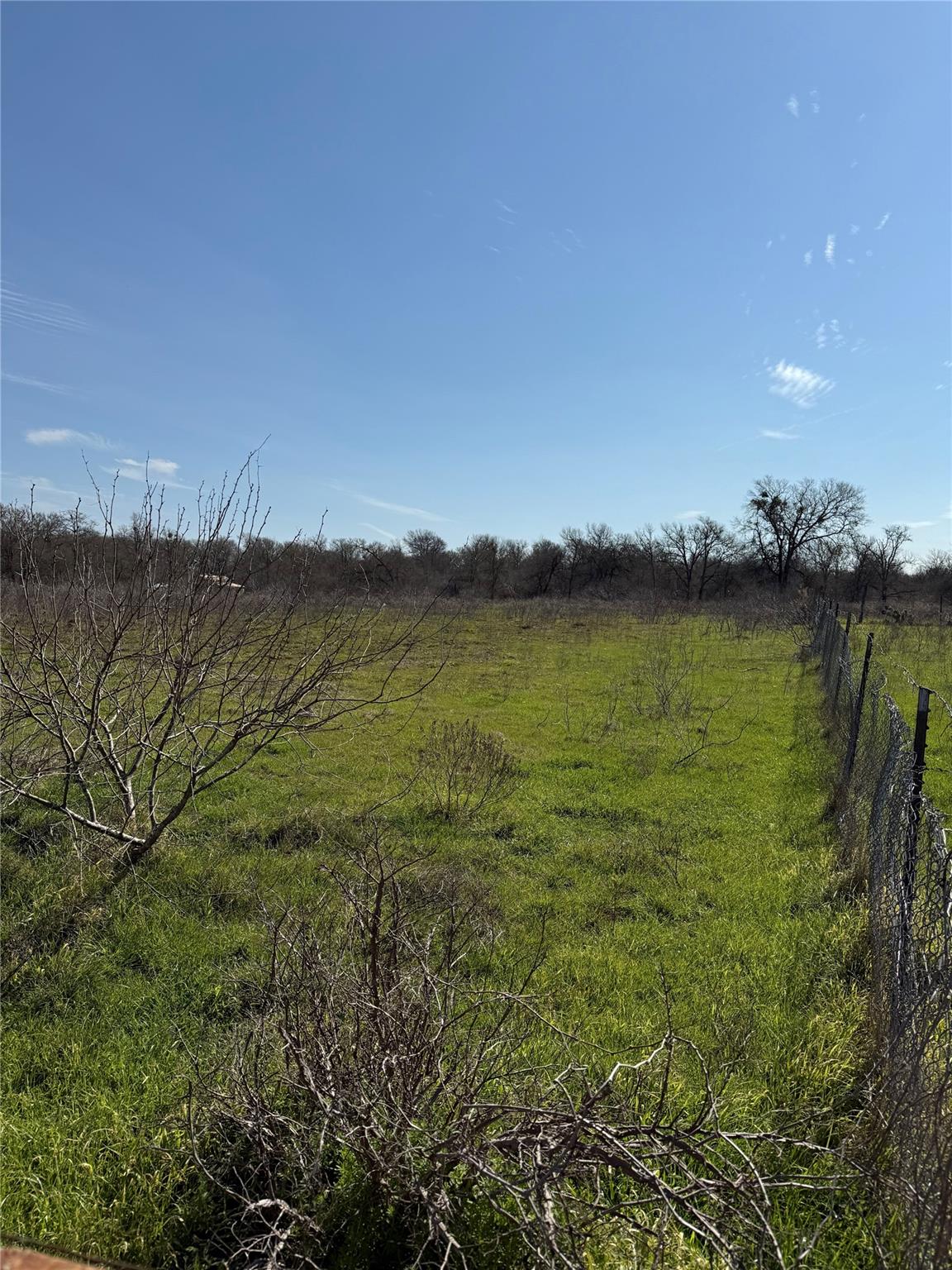 000 White Tail Dr Property Photo 9