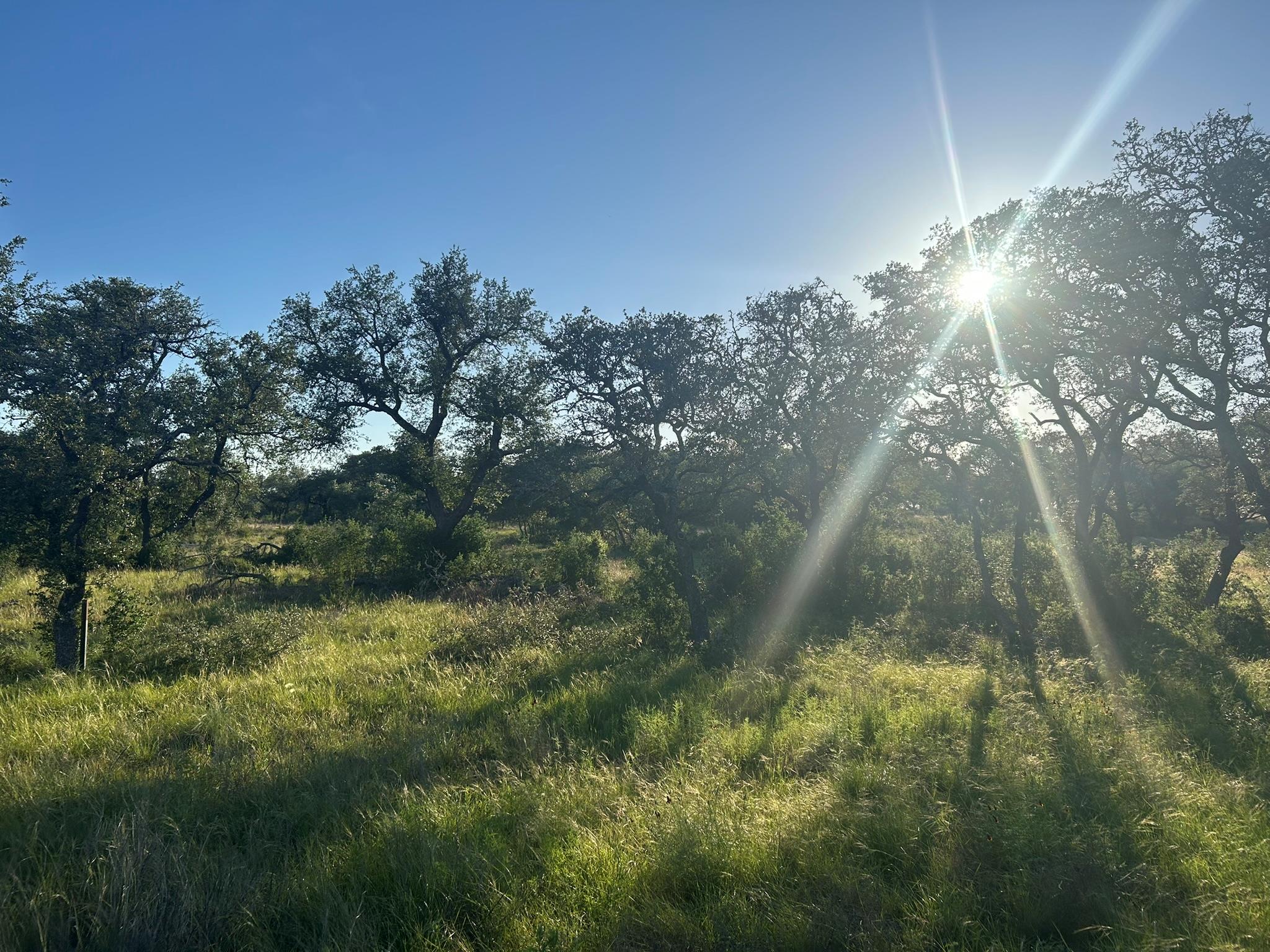 Lot 13 Legacy Hillls Dr Property Photo 4