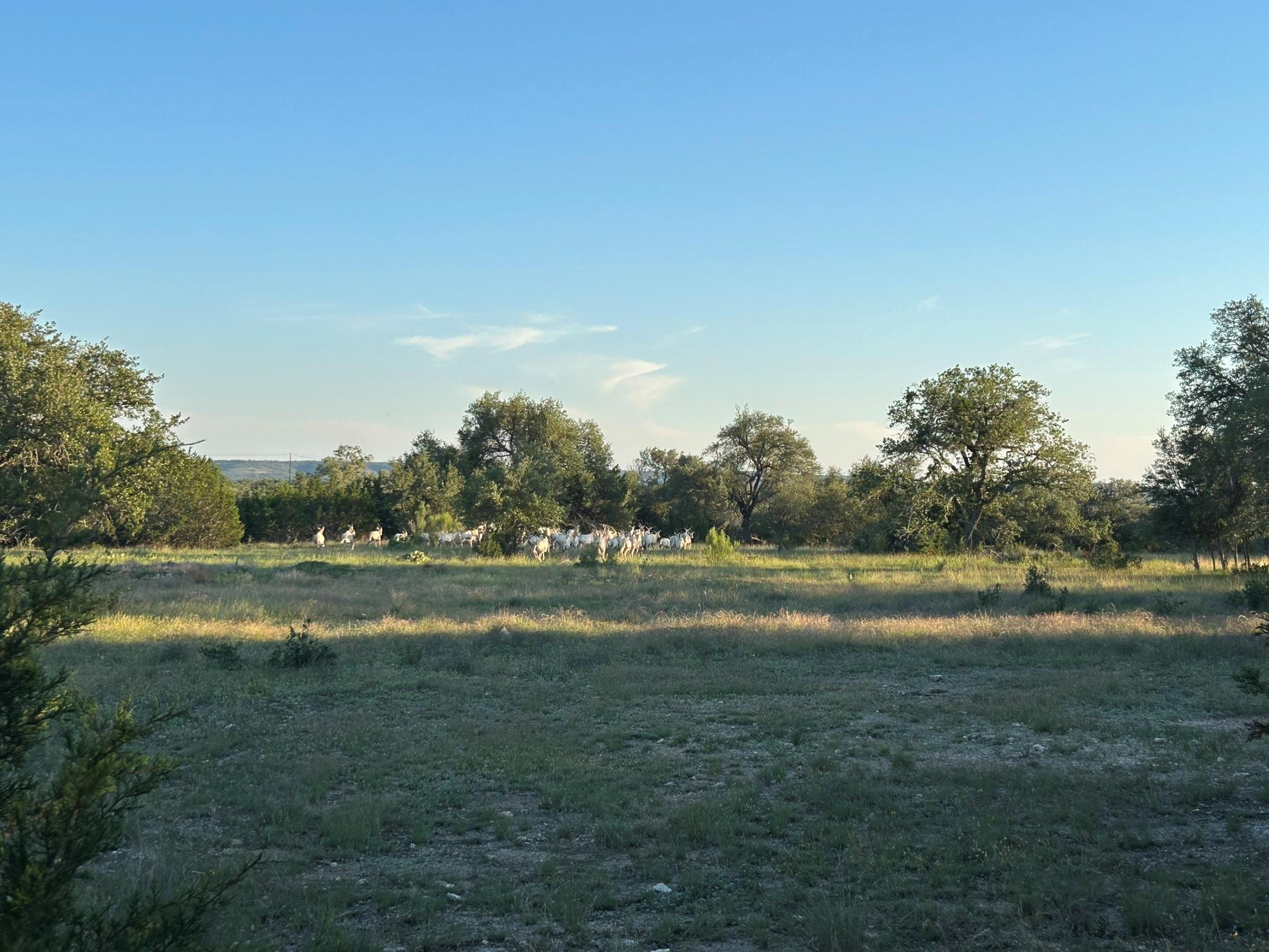 Lot 13 Legacy Hillls Dr Property Photo 6