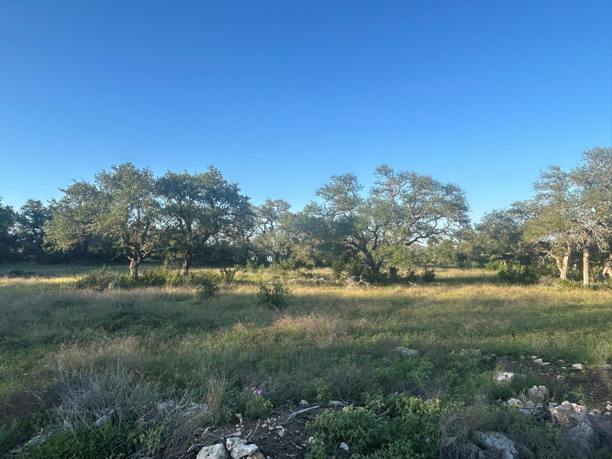 Lot 13 Legacy Hillls Dr Property Photo 9