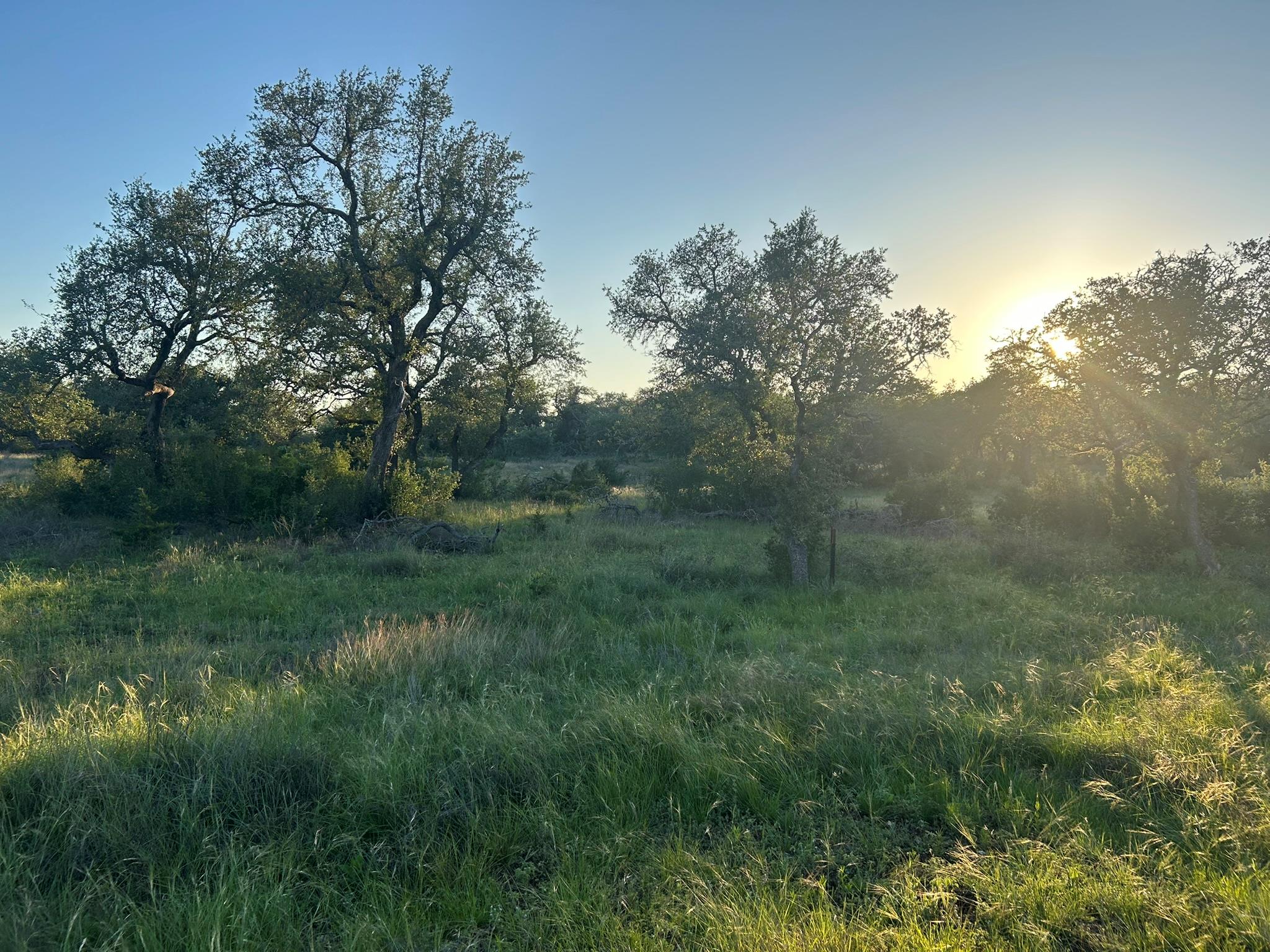Lot 13 Legacy Hillls Dr Property Photo 10