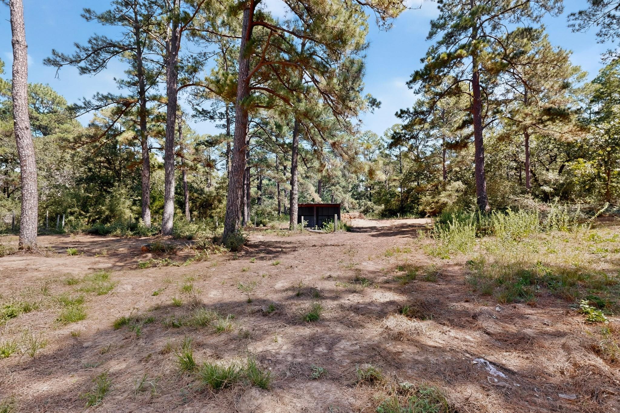 158 Fealy Rd Property Photo 38