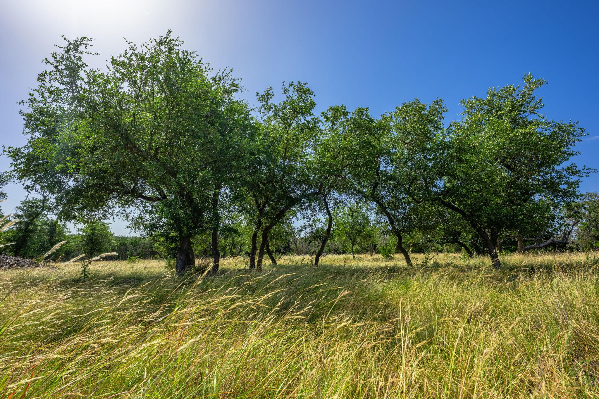 00 Hideout Ranch Lot 7 None Property Photo 2
