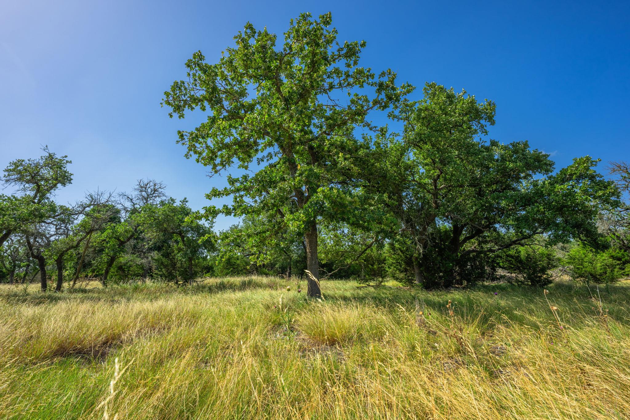 00 Hideout Ranch Lot 7 None Property Photo 3
