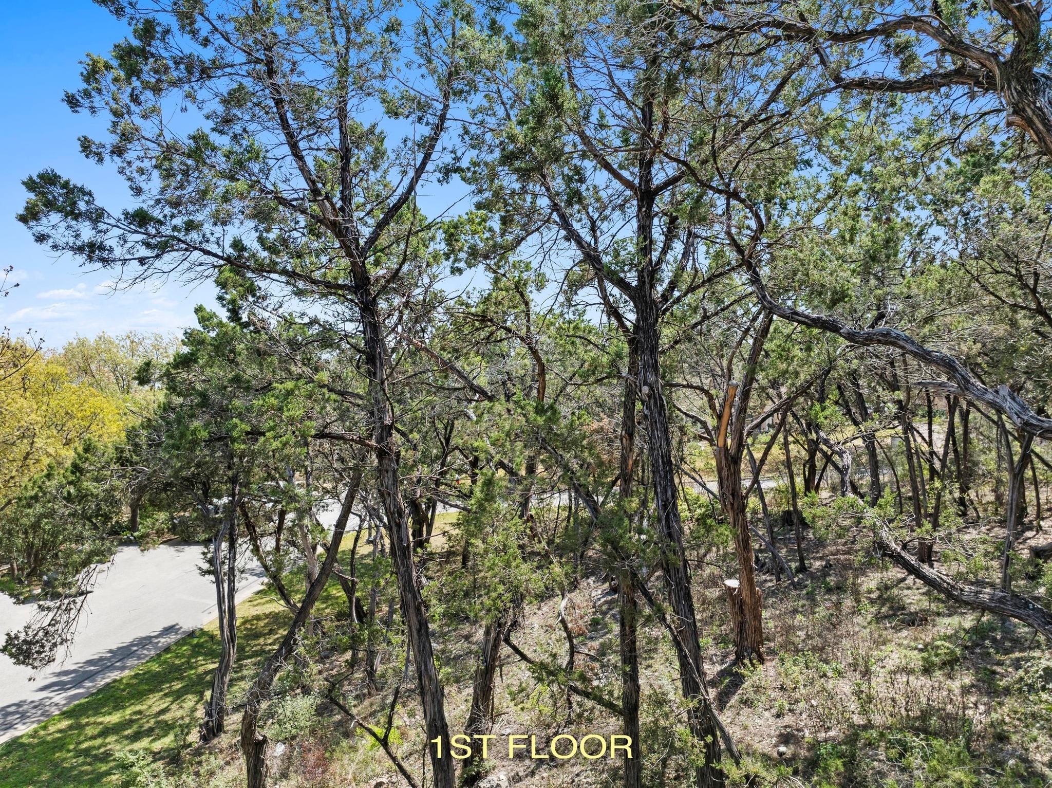 3212 Aztec Falls Cv Property Photo 6