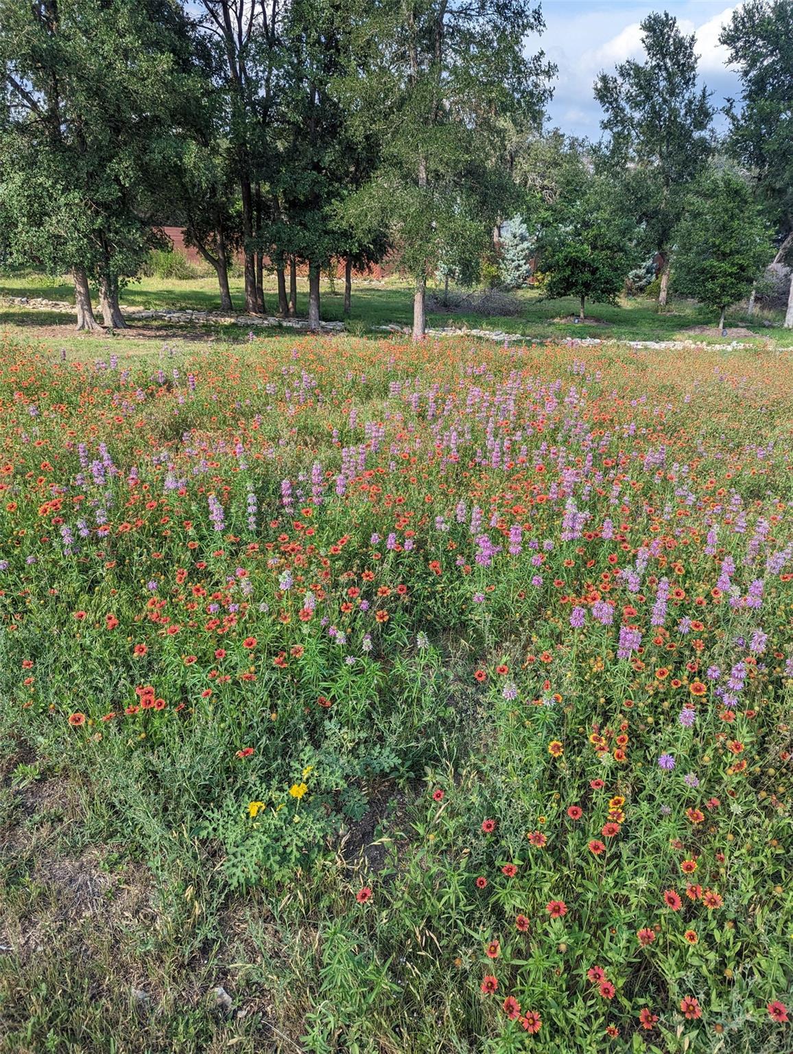 9720 Anchusa Trl Property Photo 38