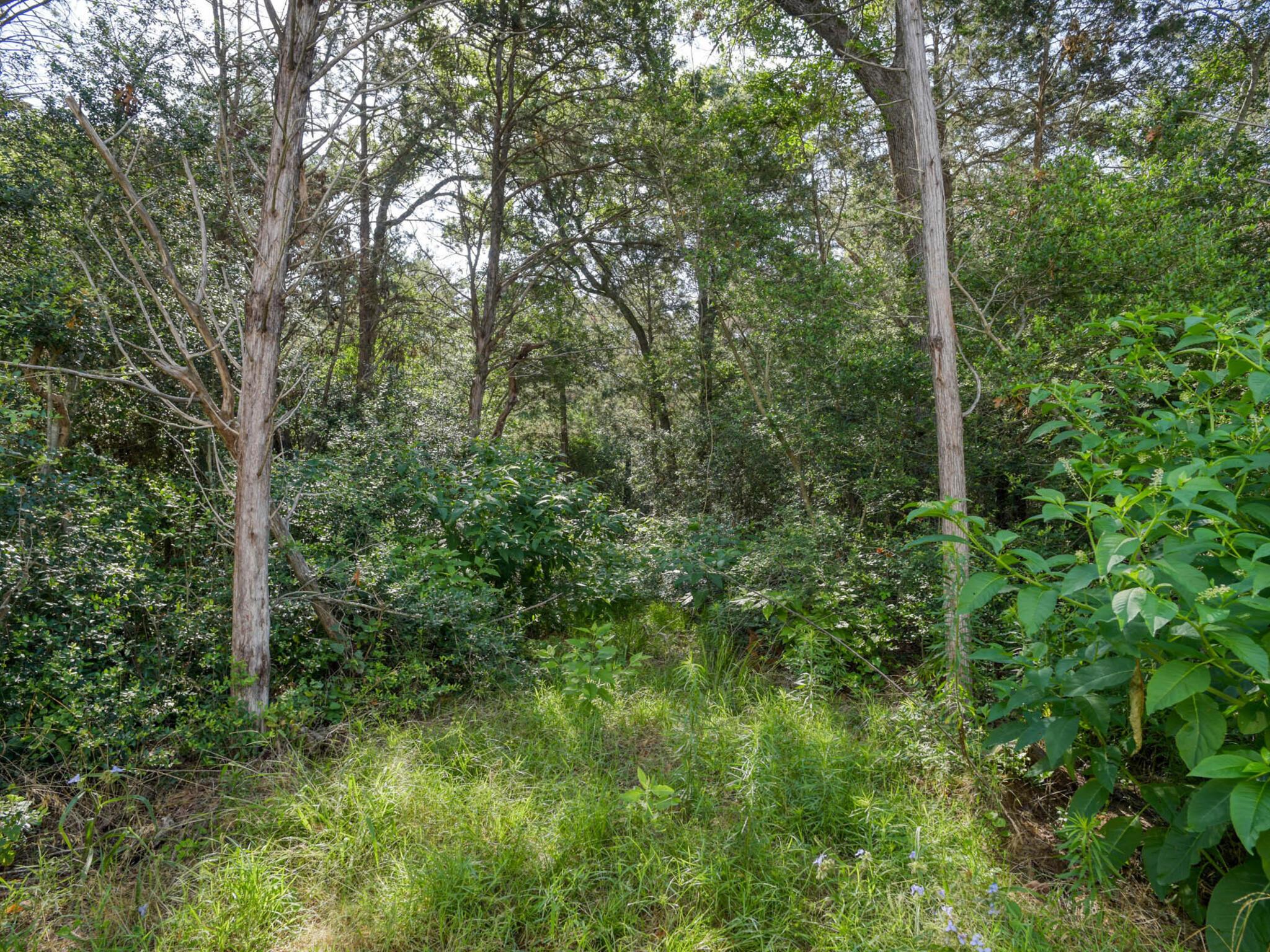 219 Dunbar Rd Property Photo 36