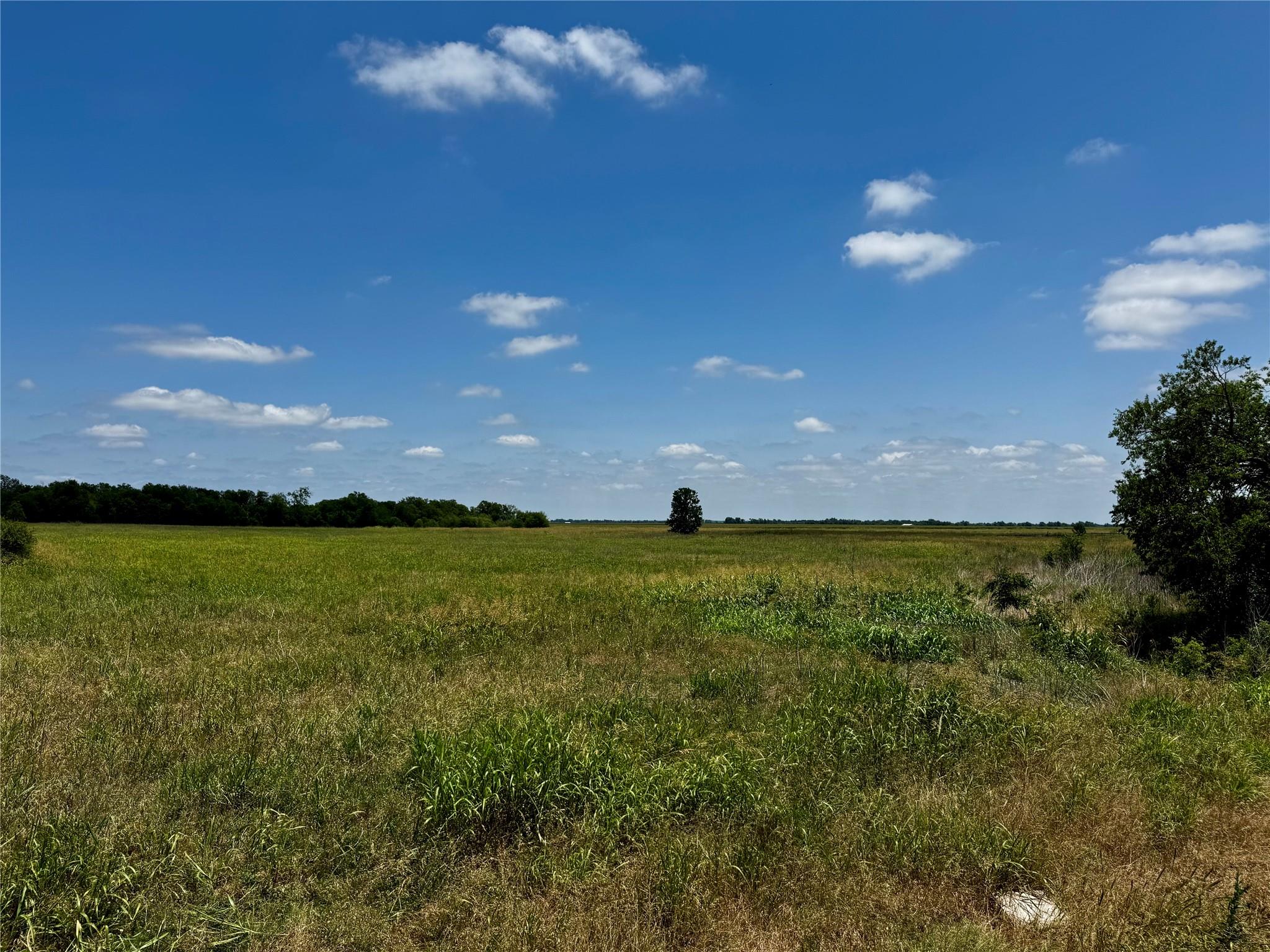 3645 Fm 3349 None Property Photo 4