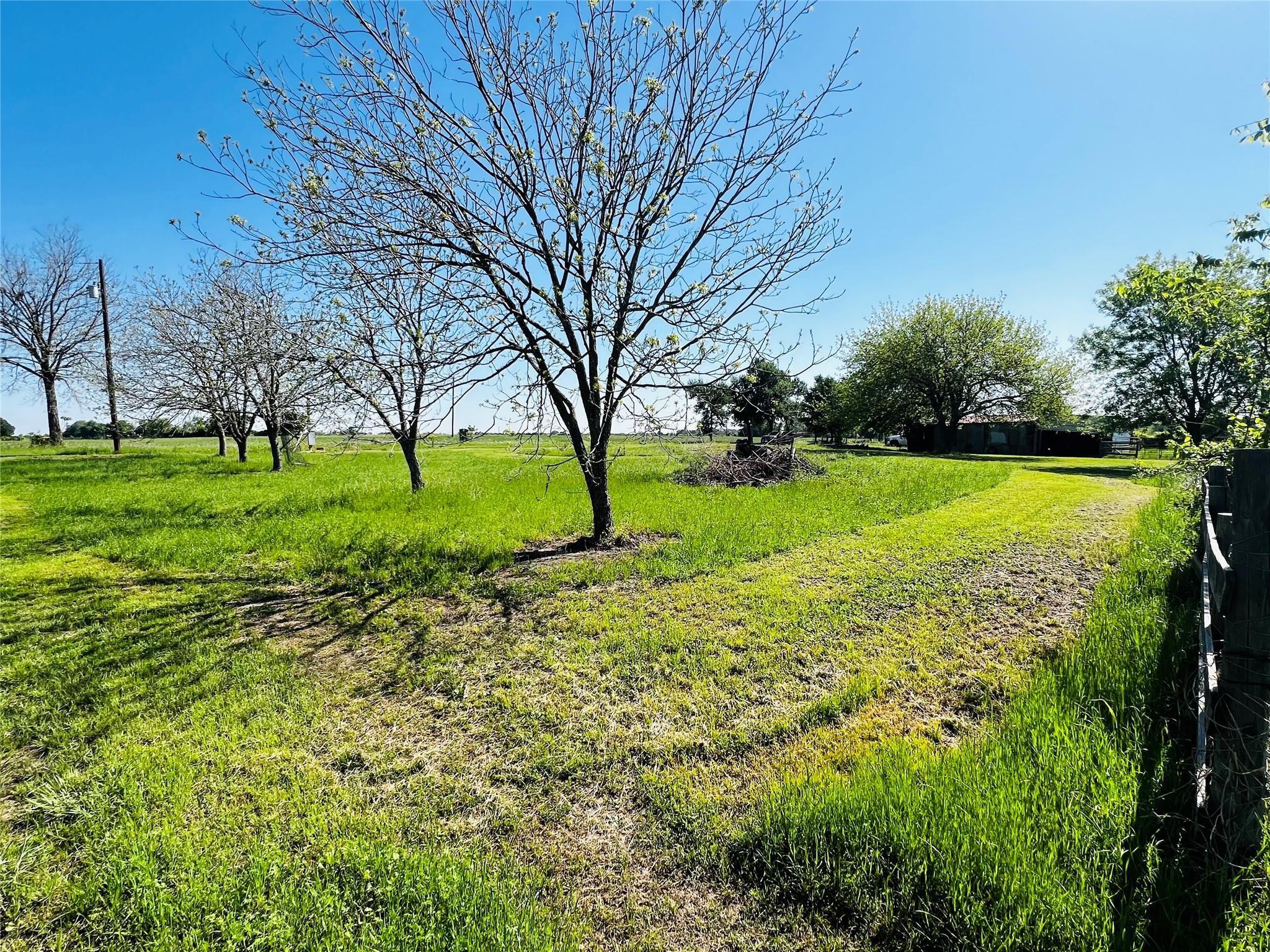 1454 County Road 218 Property Photo 4