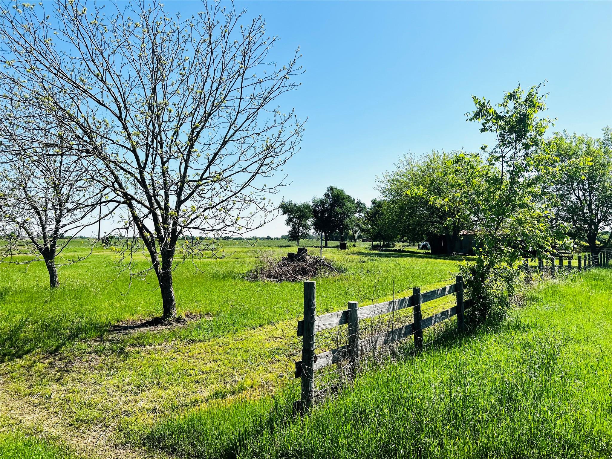 1454 County Road 218 Property Photo 5