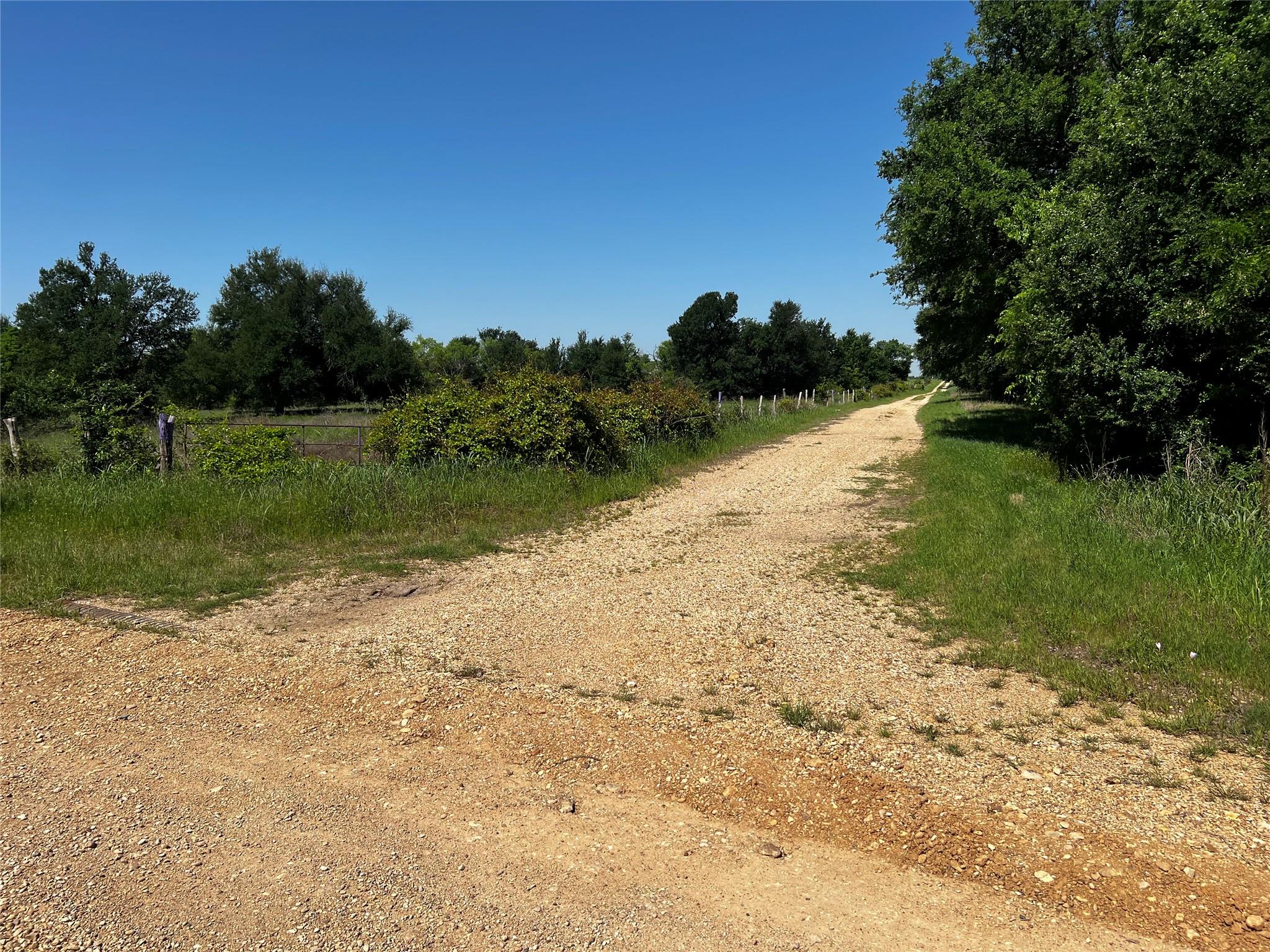 1454 County Road 218 Property Photo 16