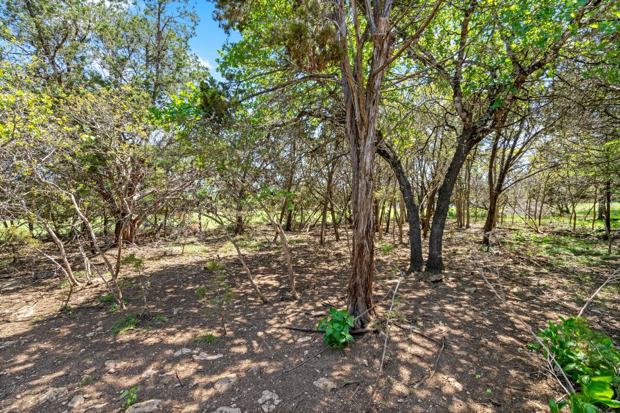 45 Woodacre Dr Property Photo 16