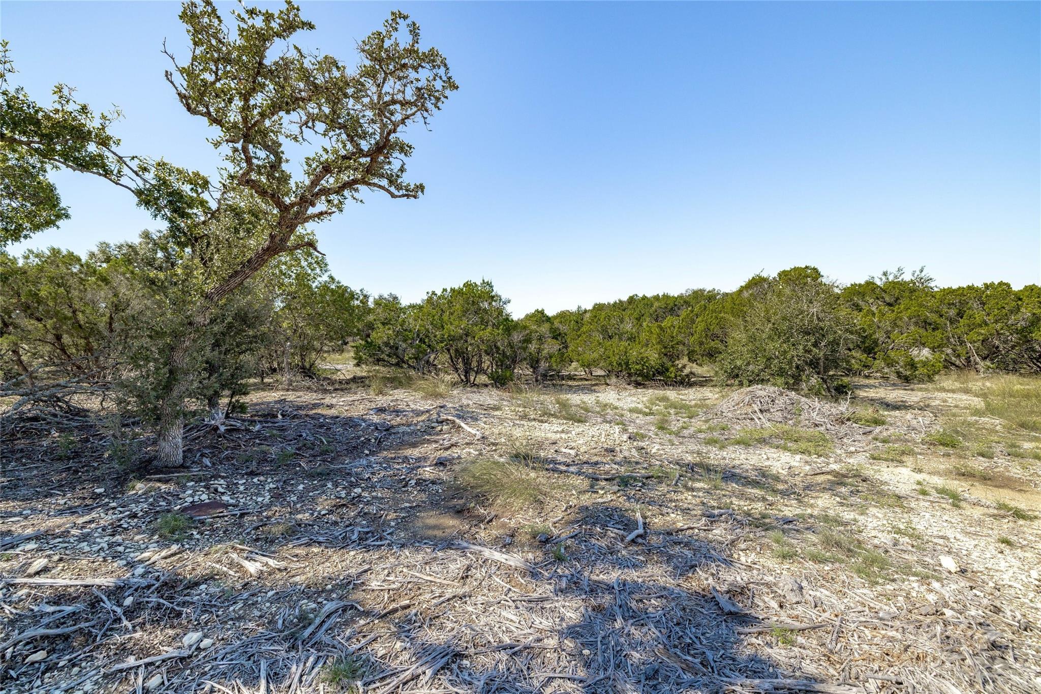 Tbd County Road 281 Lot 2 Property Photo 1