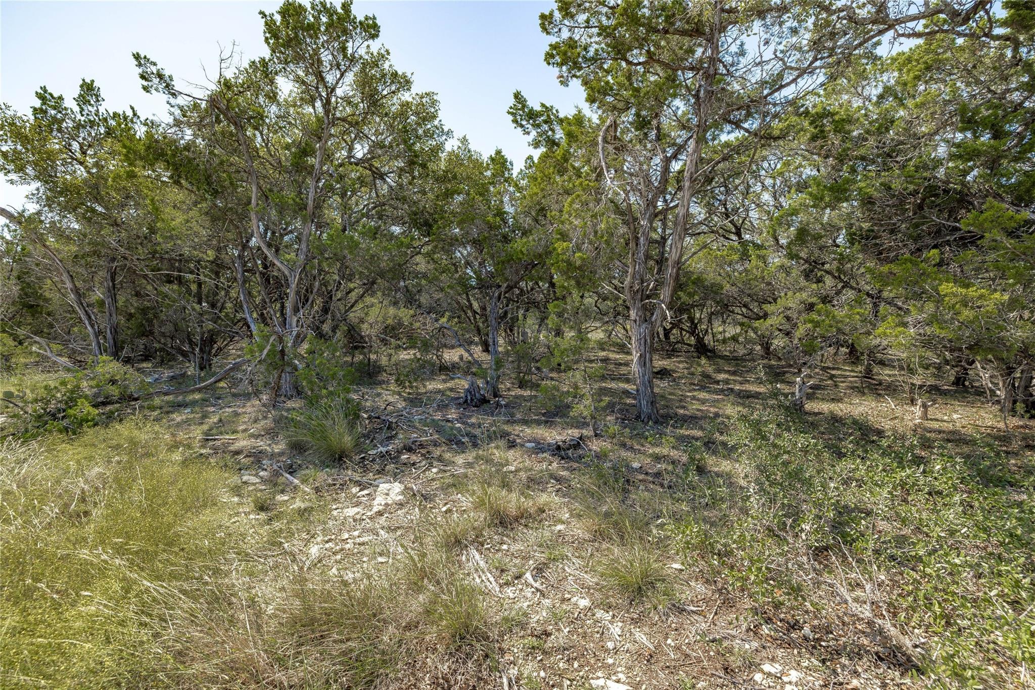 Tbd County Road 281 Lot 2 Property Photo 2