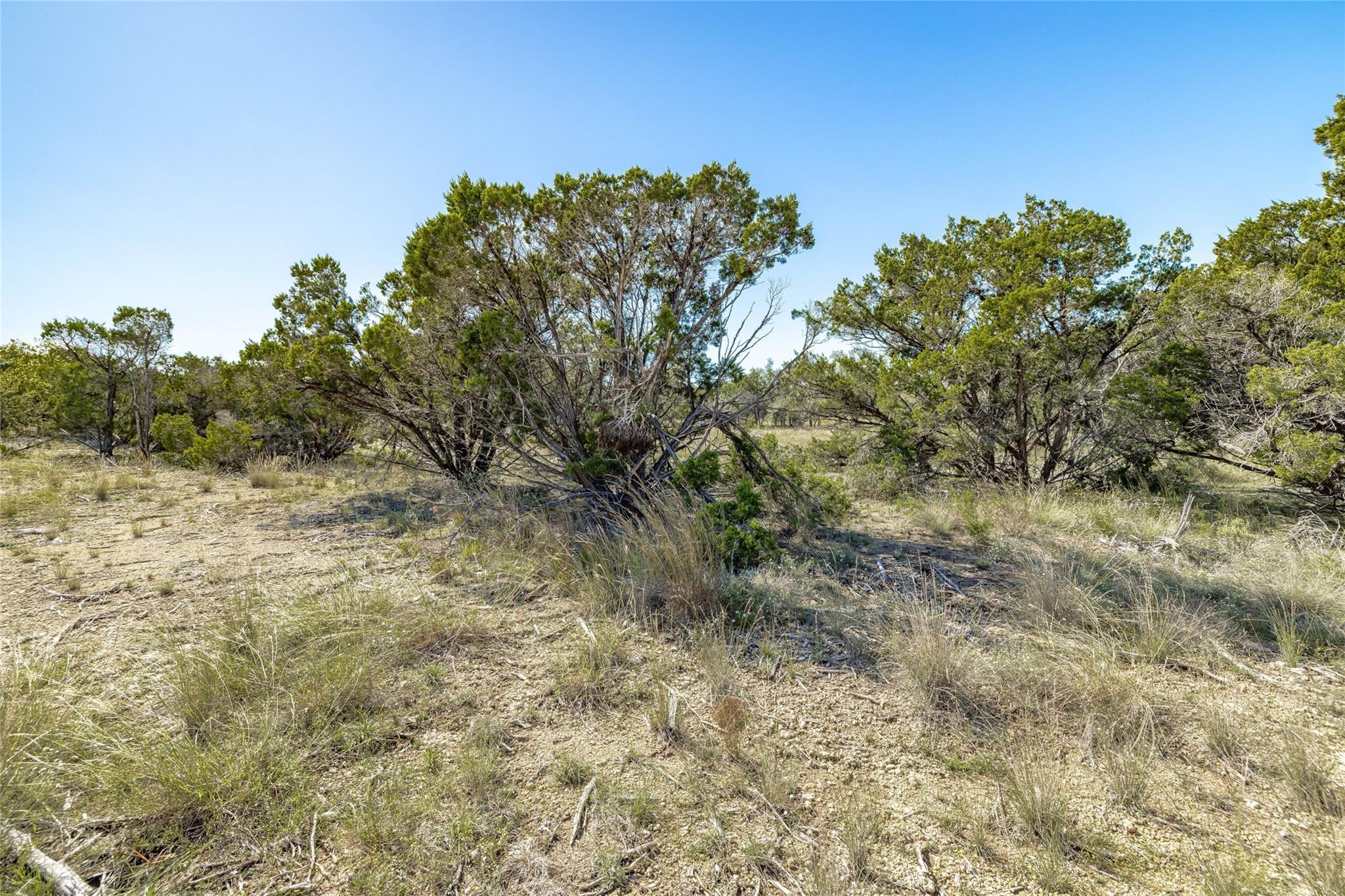 Tbd County Road 281 Lot 2 Property Photo 6