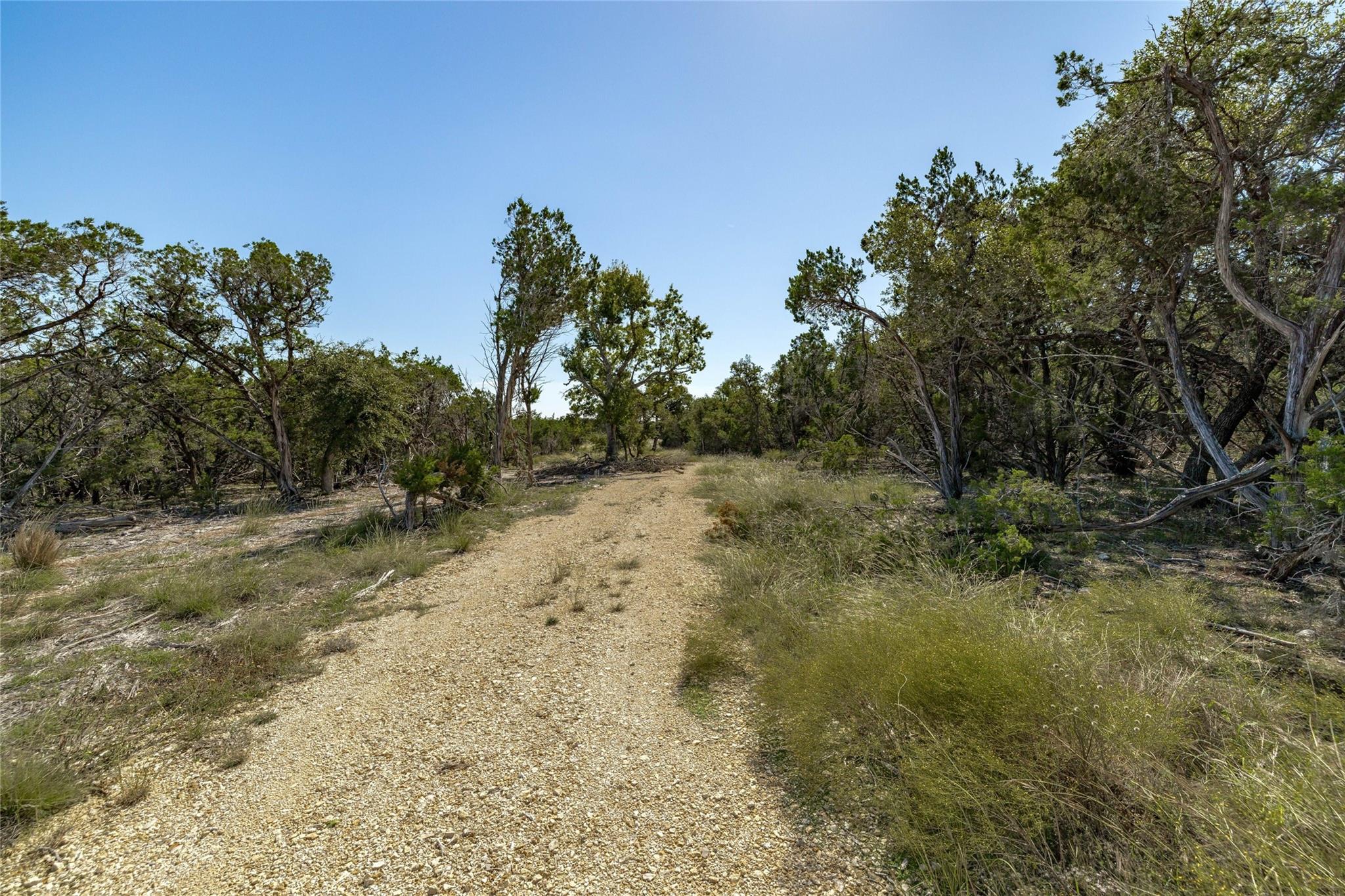 Tbd County Road 281 Lot 2 Property Photo 11