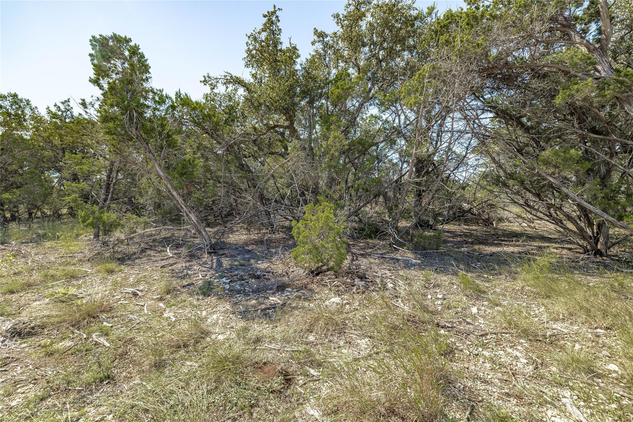 Tbd County Road 281 Lot 2 Property Photo 12