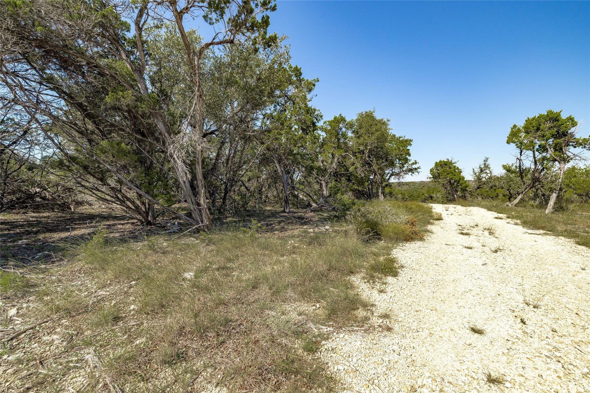 Tbd County Road 281 Lot 2 Property Photo 13