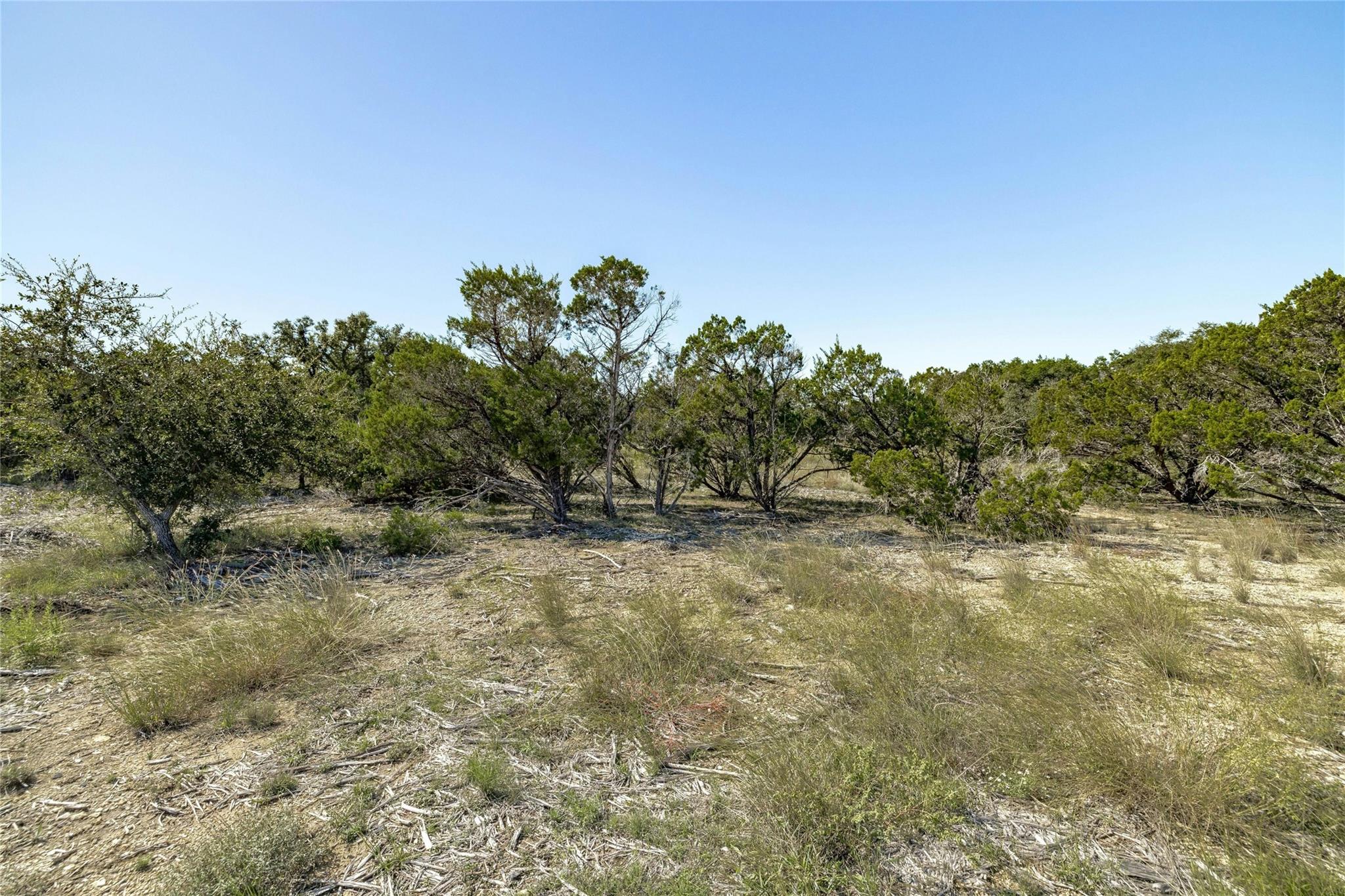 Tbd County Road 281 Lot 2 Property Photo 14