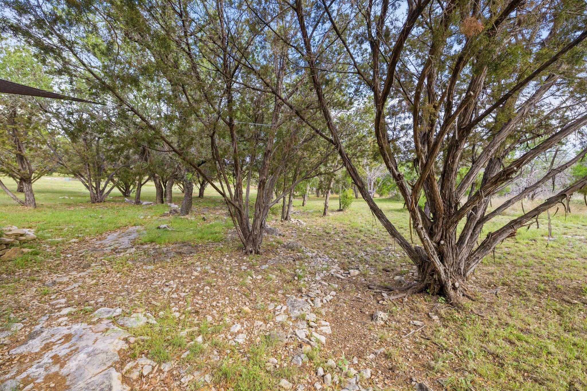 215 Maverick Cir Property Photo 40