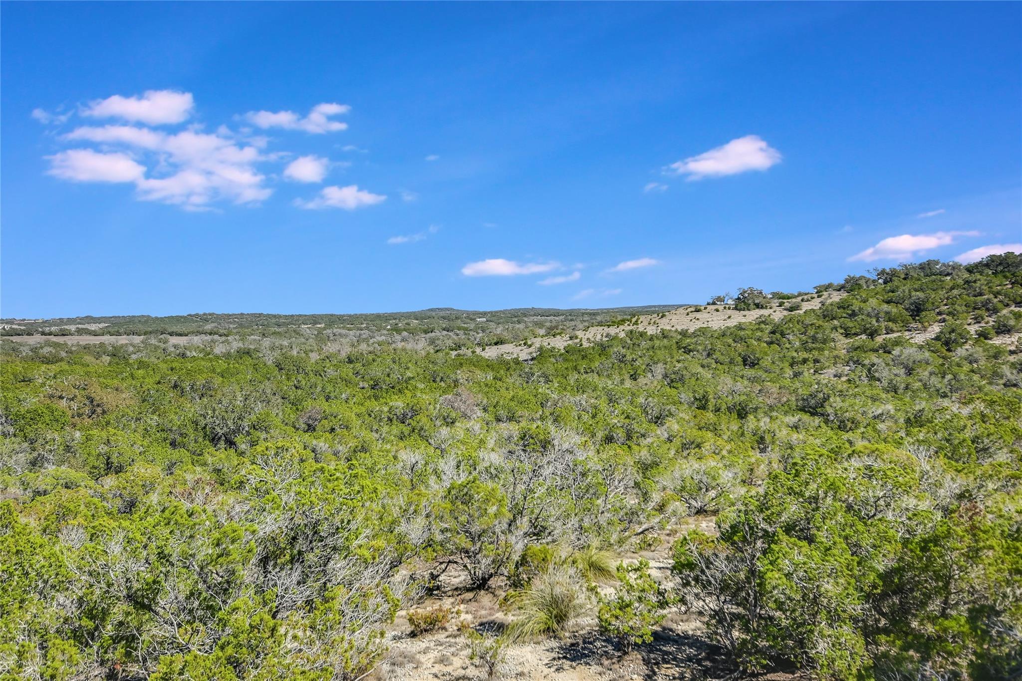 11201 Bonham Ranch Rd 6 And 8 Property Photo 5