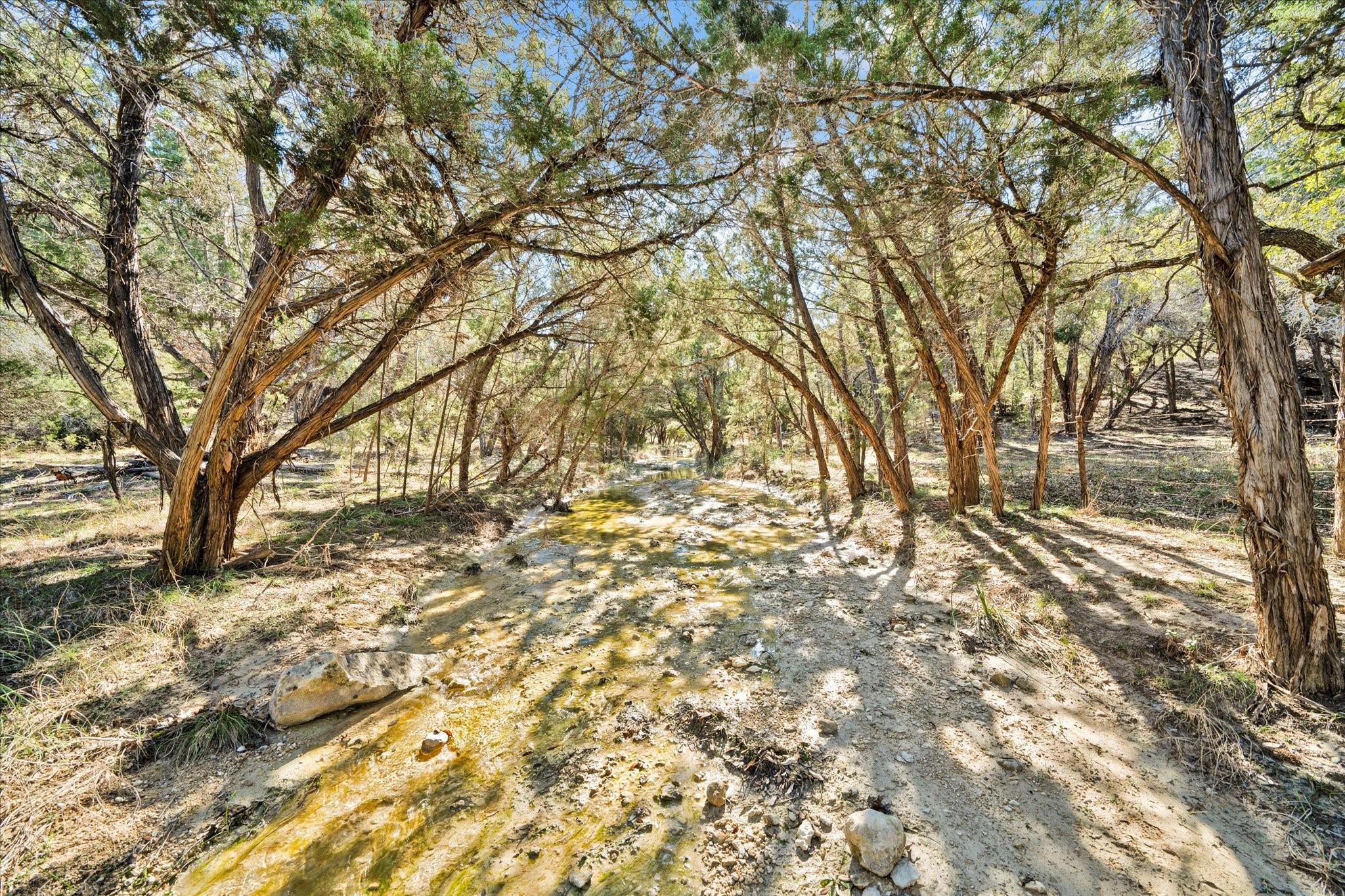11201 Bonham Ranch Rd 6 And 8 Property Photo 38
