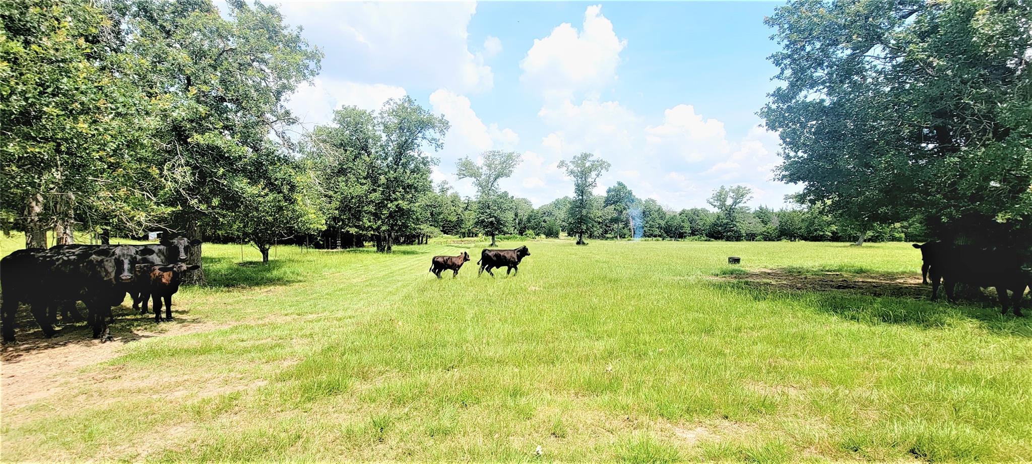 3321 County Road 457 None Property Photo 9