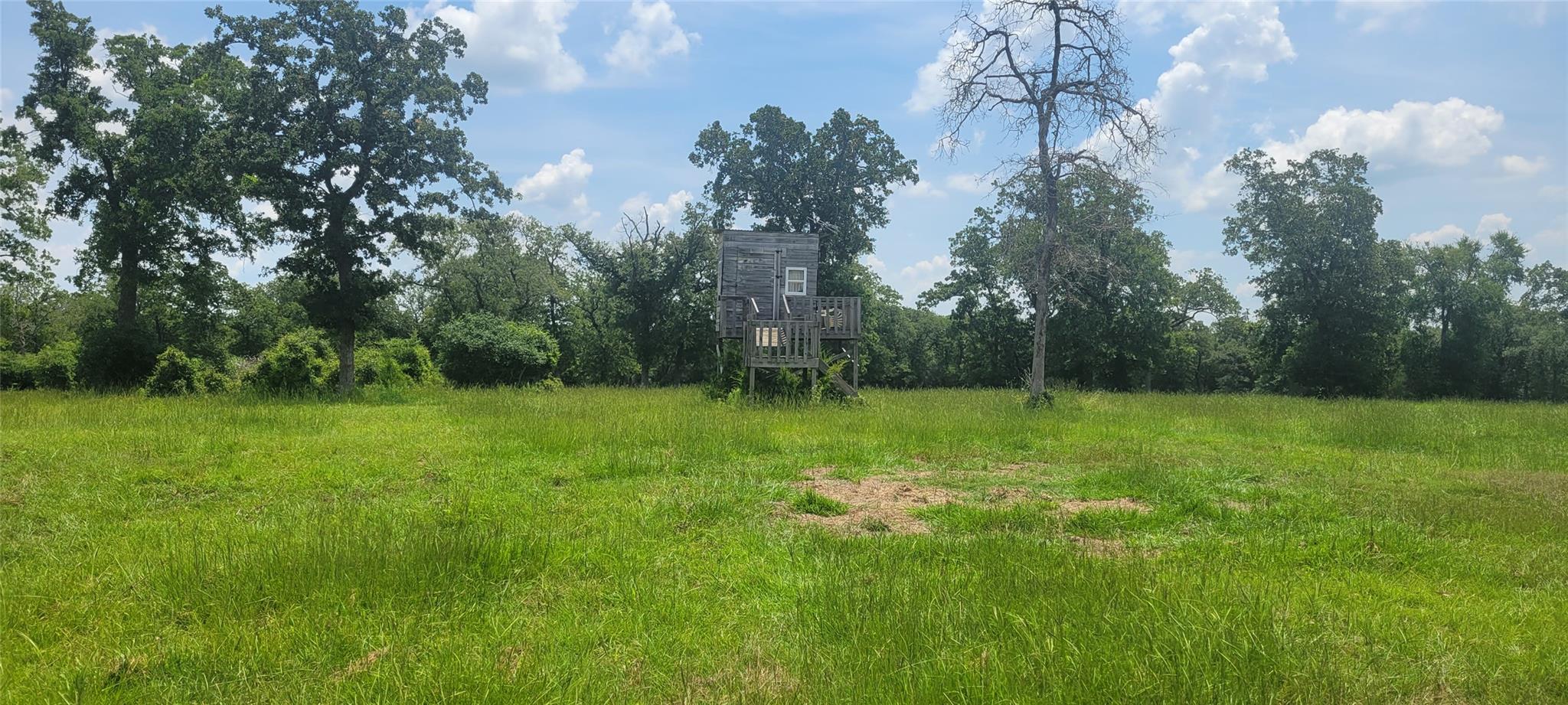 3321 County Road 457 None Property Photo 16