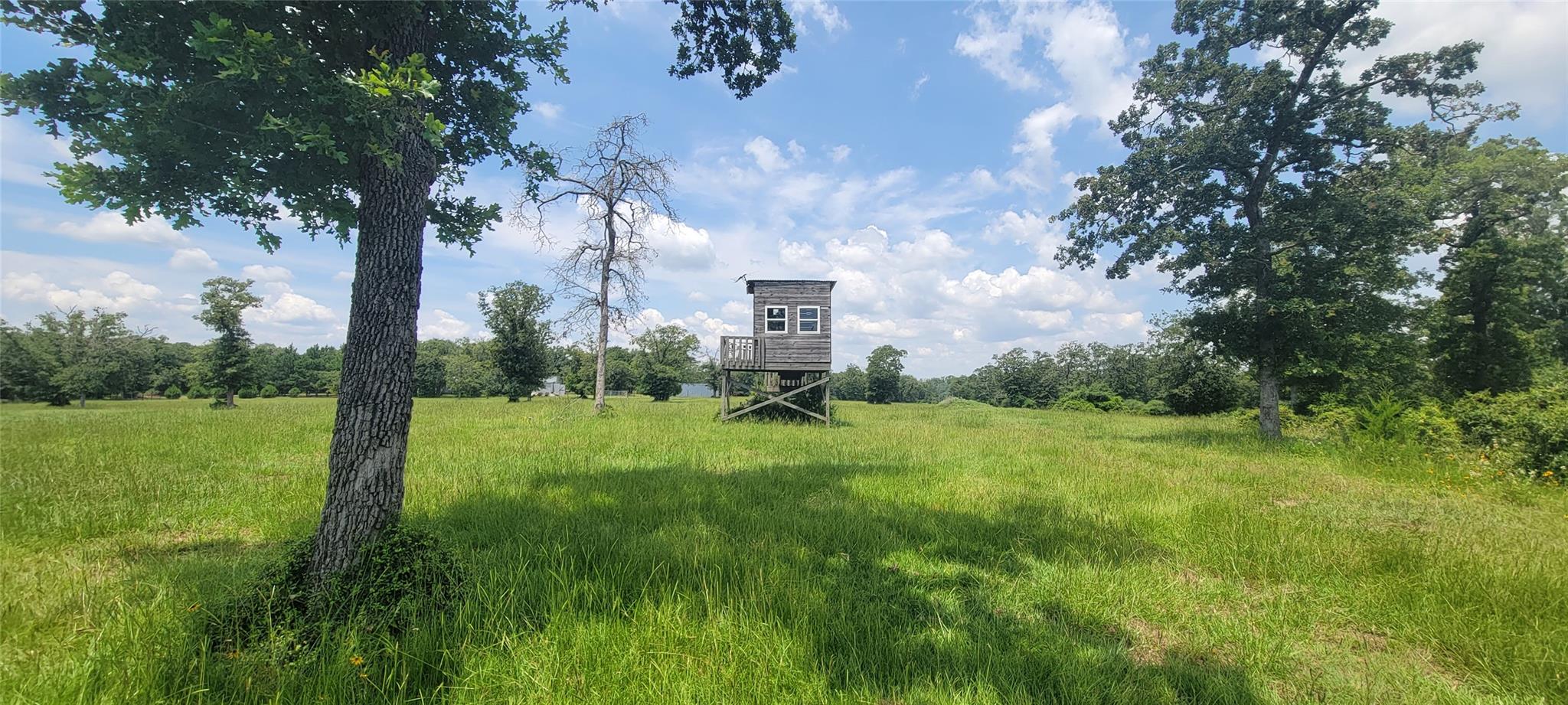 3321 County Road 457 None Property Photo 17