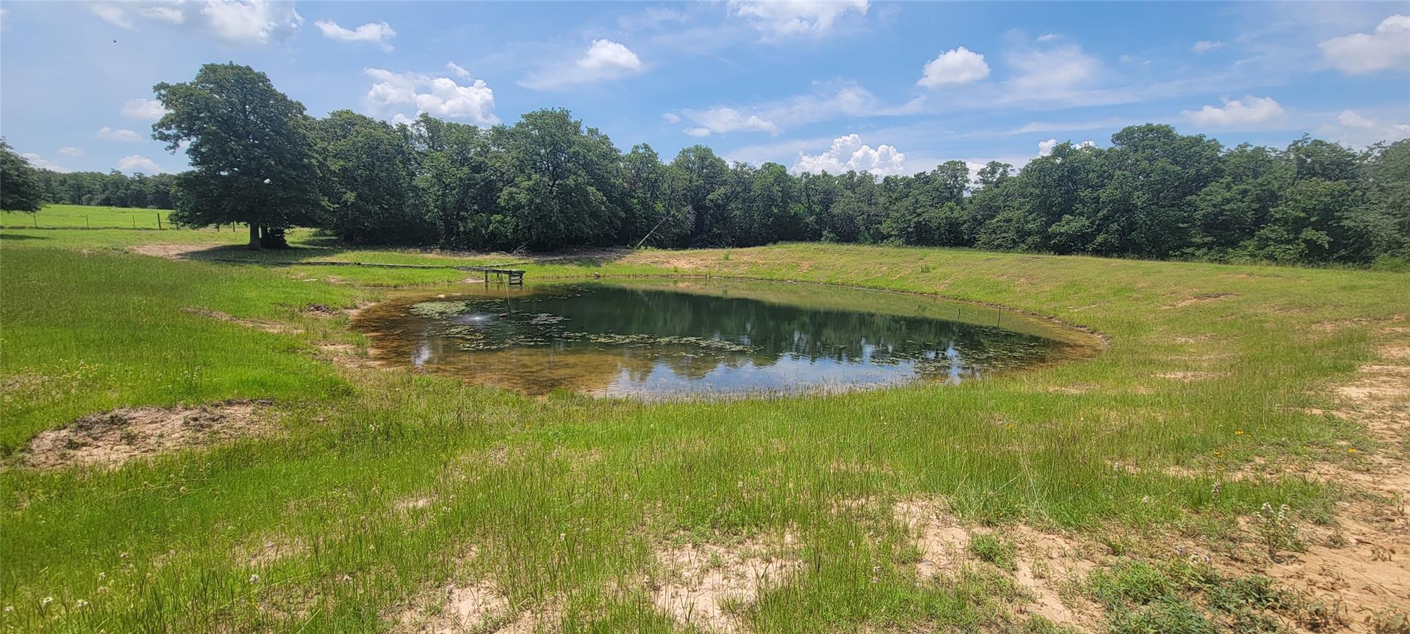 3321 County Road 457 None Property Photo 18