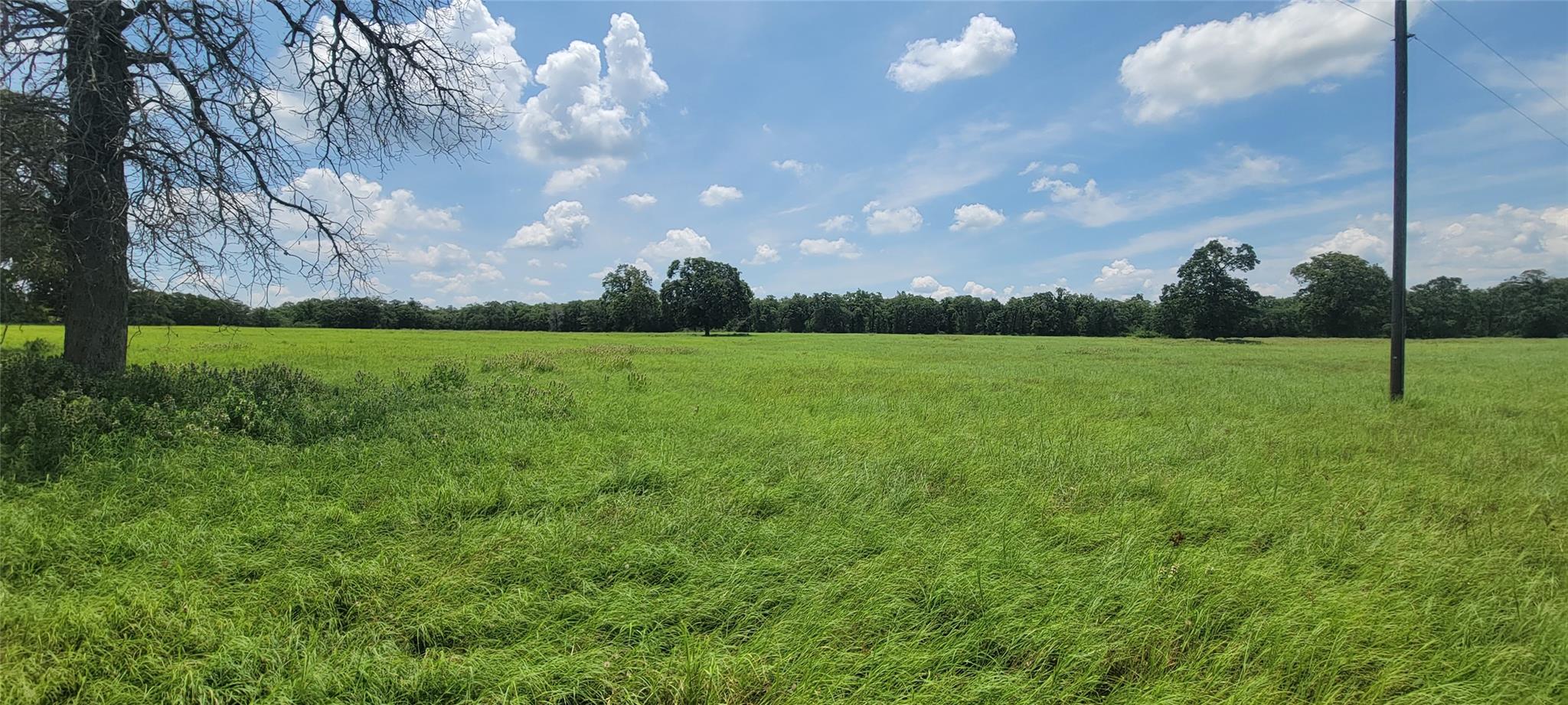 3321 County Road 457 None Property Photo 19