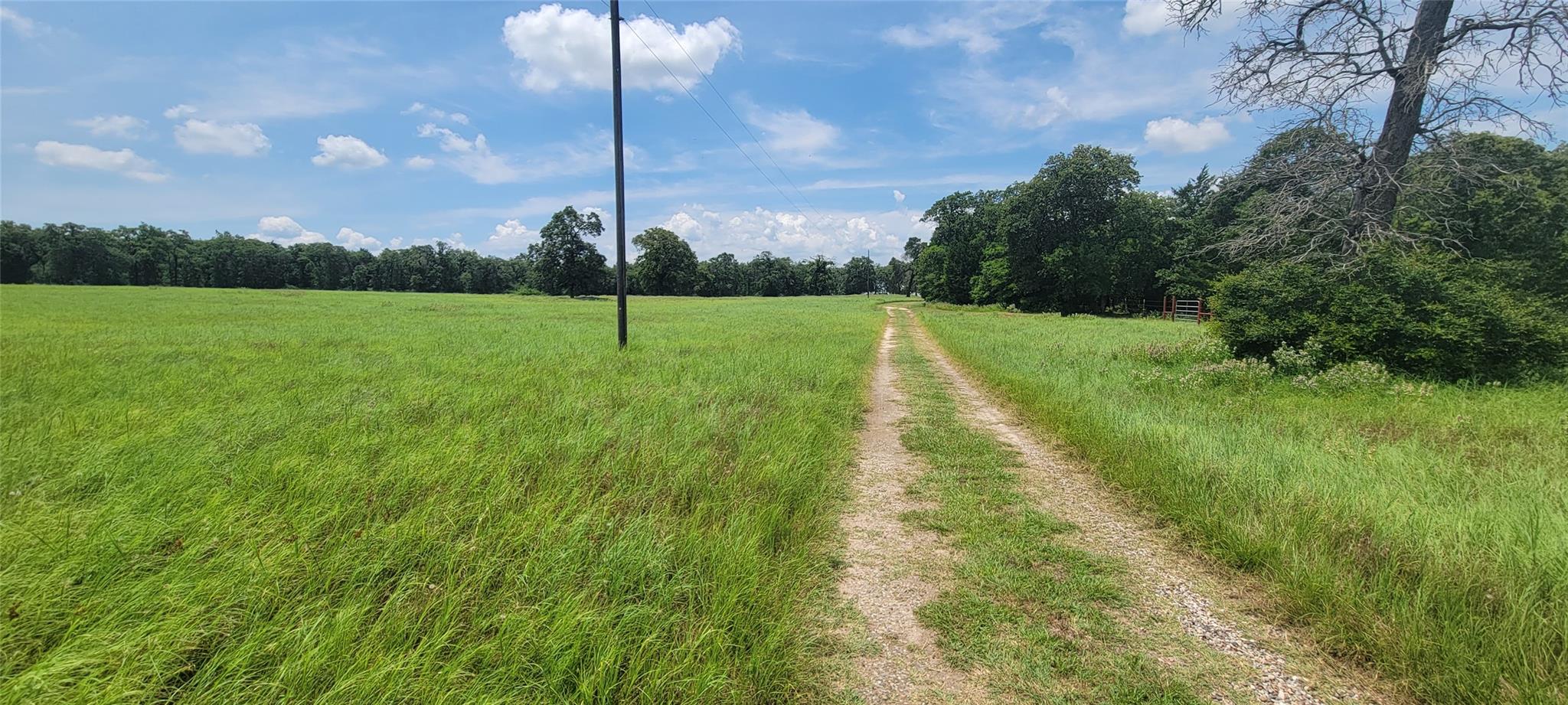 3321 County Road 457 None Property Photo 20
