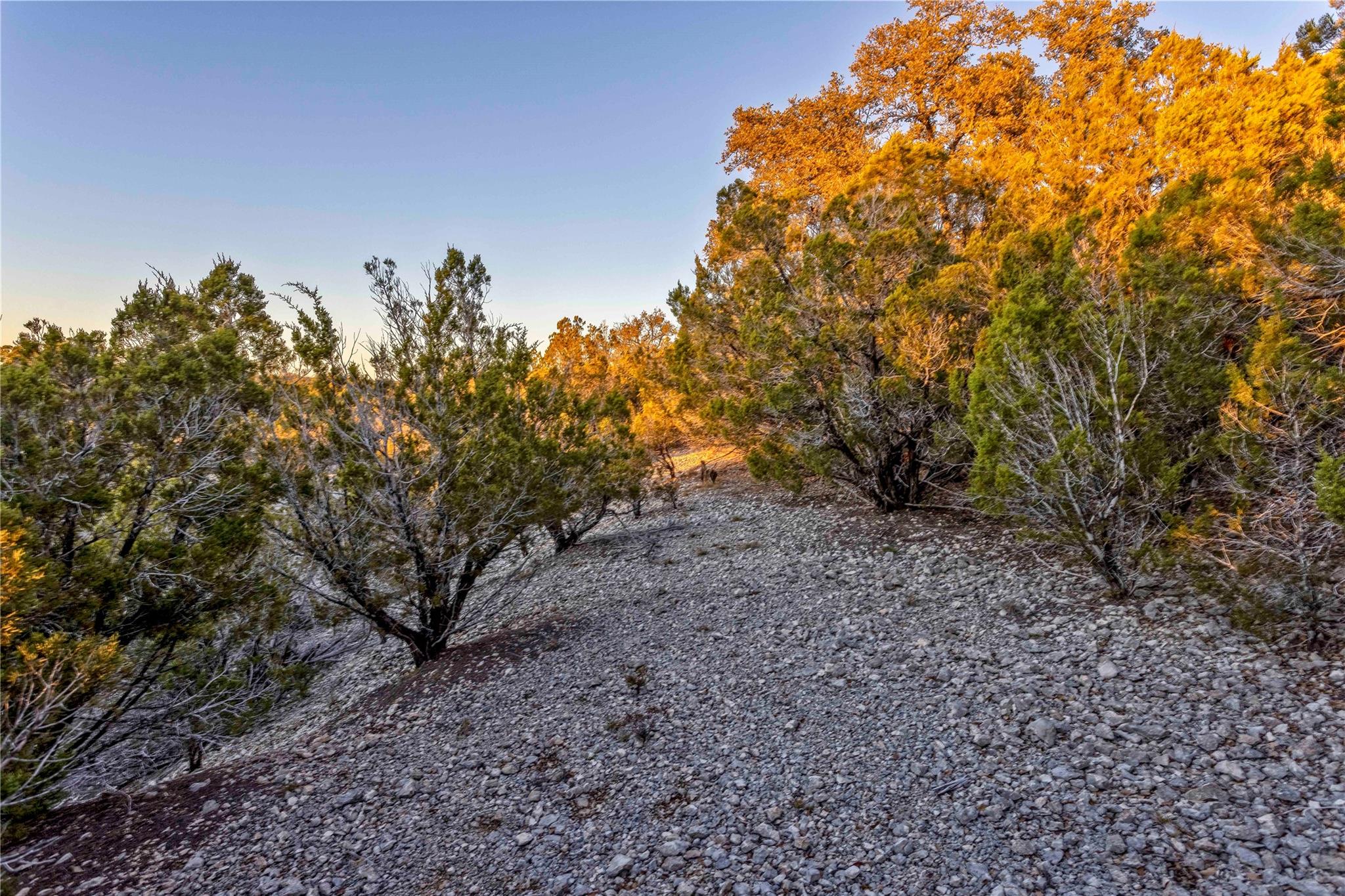 Lot 1 County Road 108 Property Photo 7