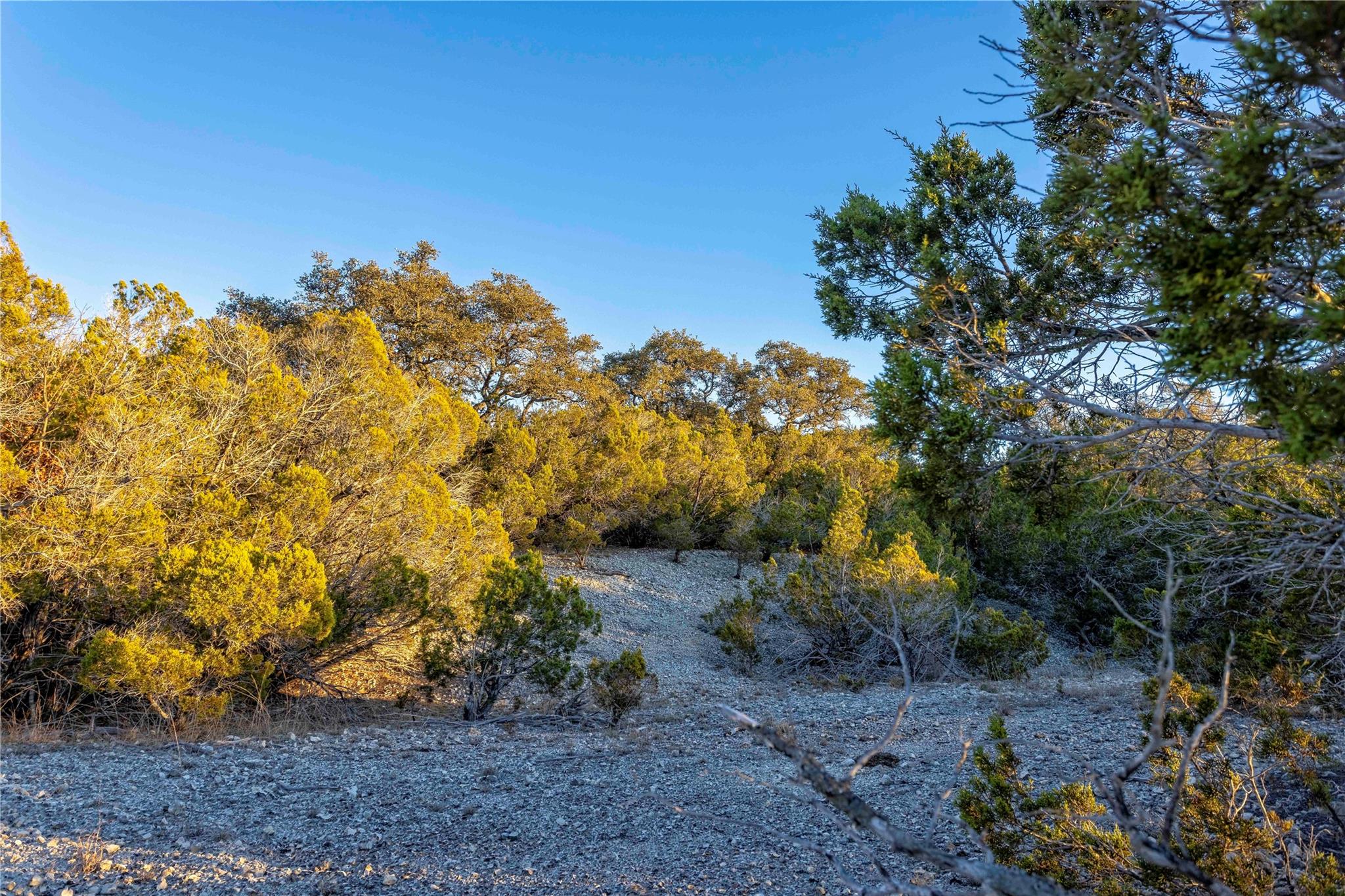 Lot 1 County Road 108 Property Photo 8