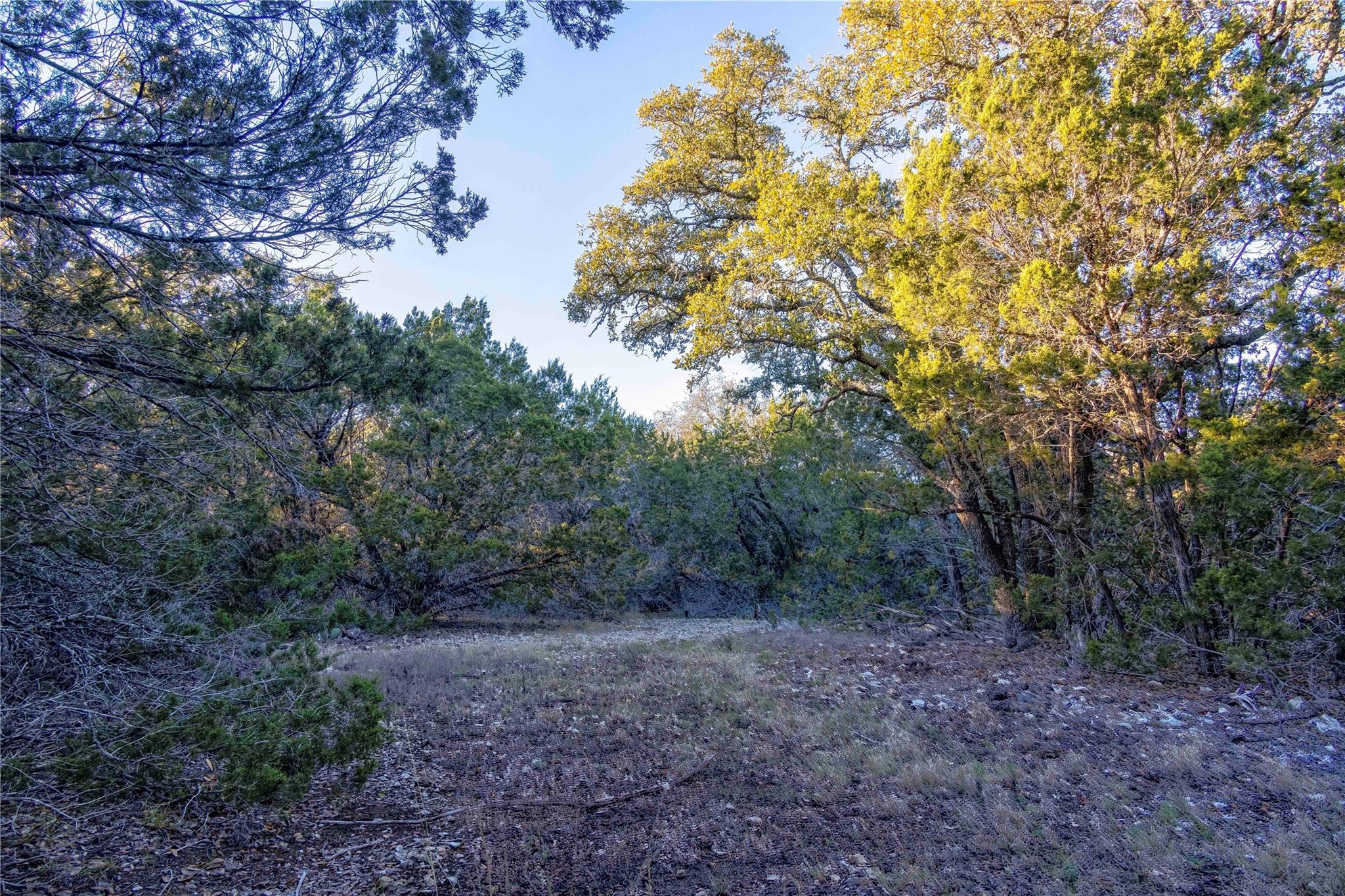 Lot 1 County Road 108 Property Photo 10