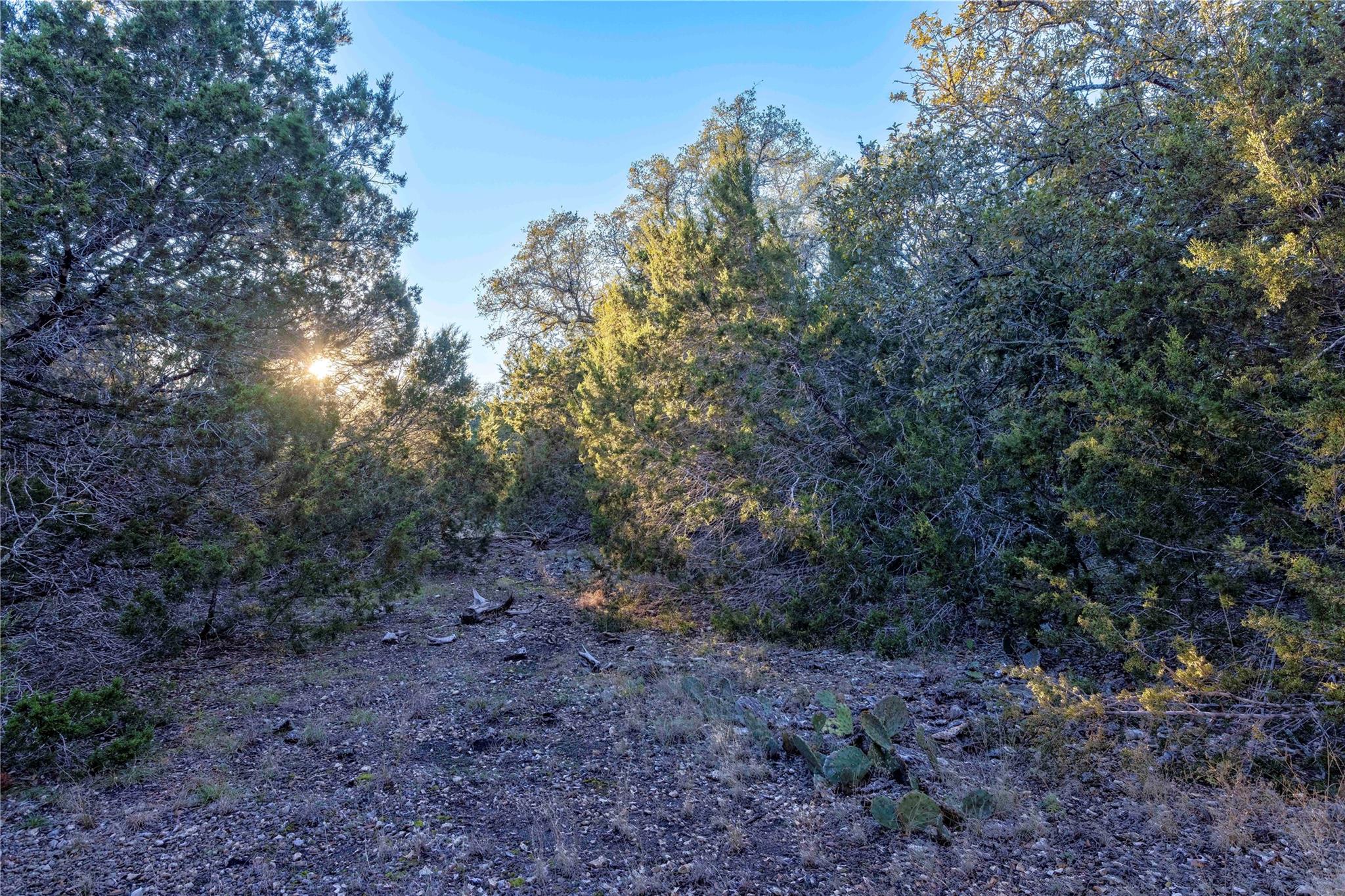 Lot 1 County Road 108 Property Photo 11