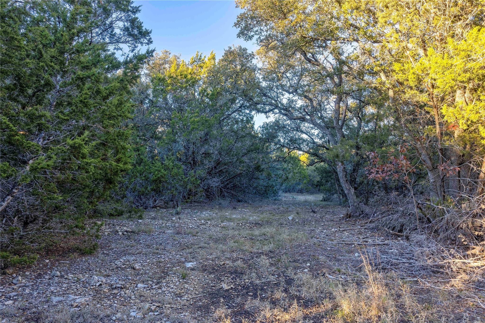 Lot 1 County Road 108 Property Photo 12