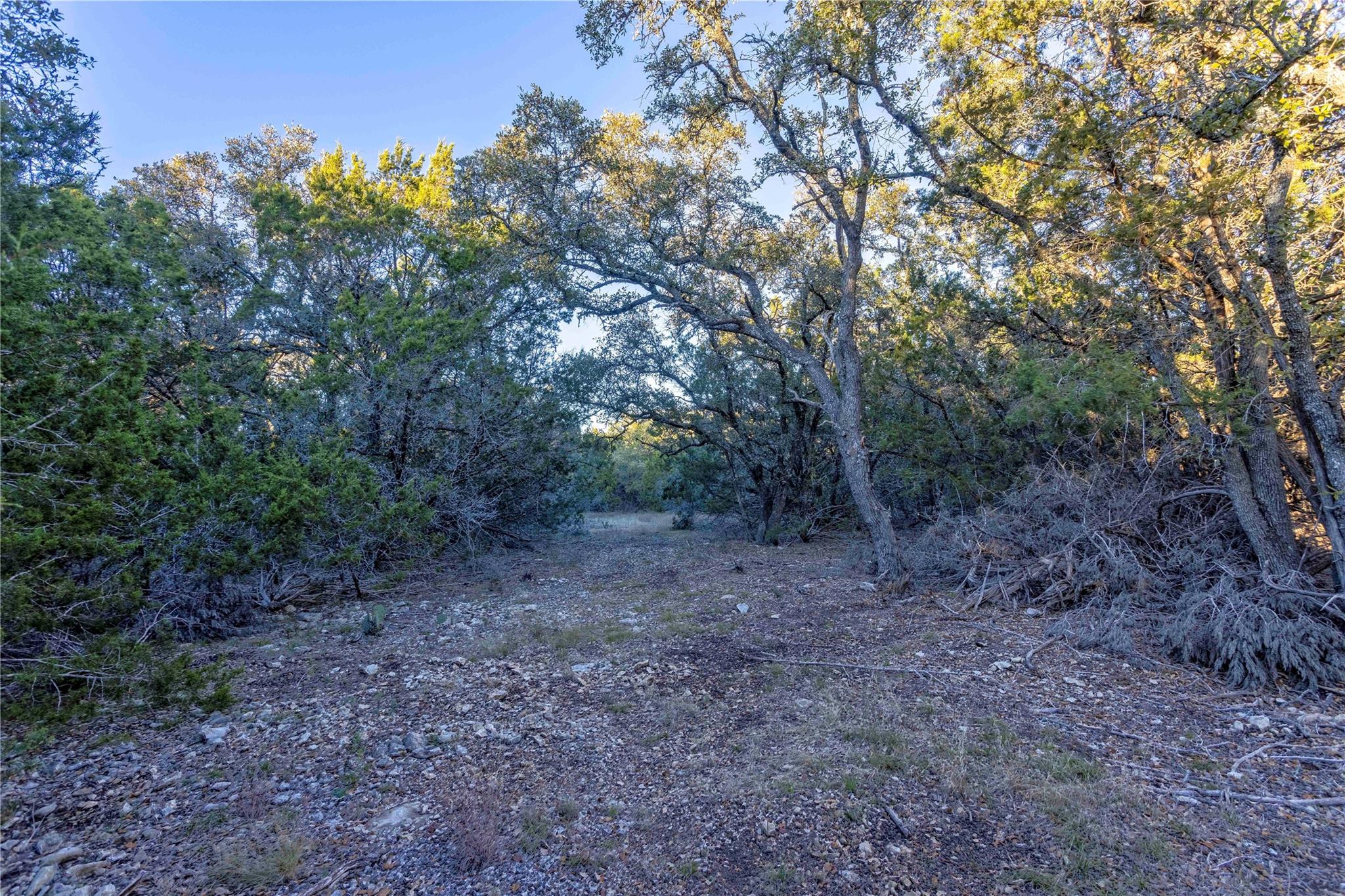 Lot 1 County Road 108 Property Photo 13