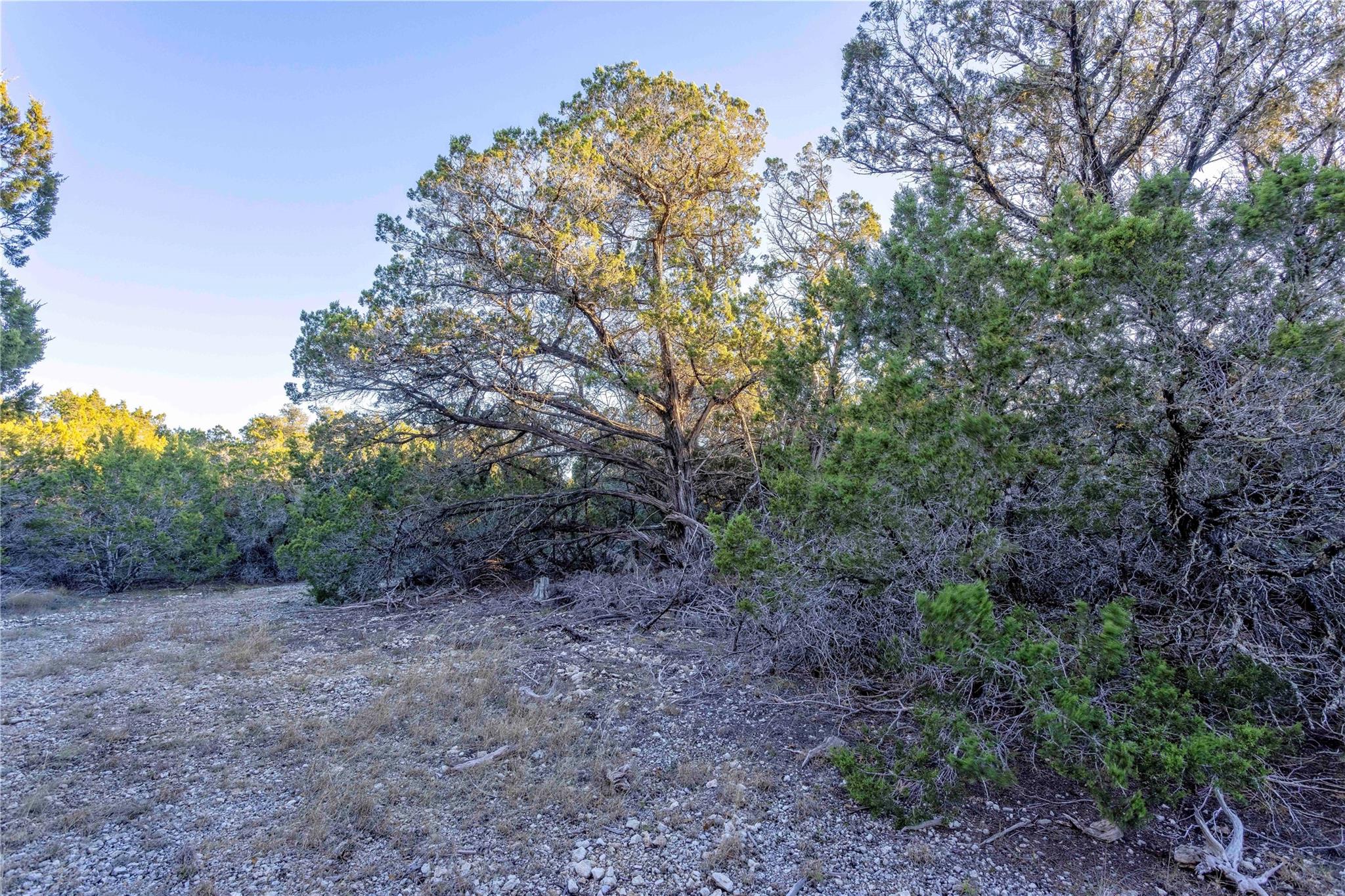 Lot 1 County Road 108 Property Photo 14