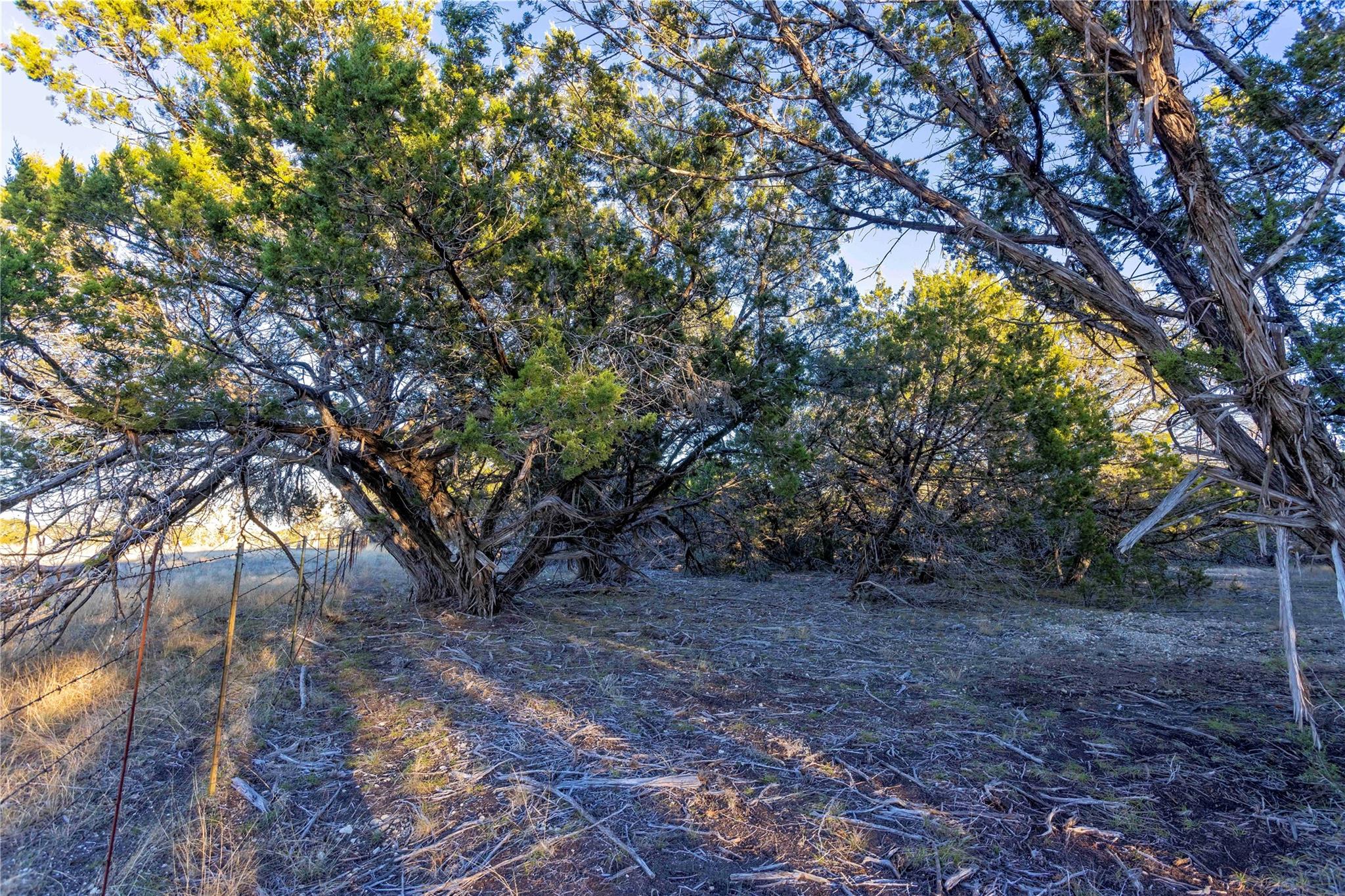 Lot 1 County Road 108 Property Photo 15
