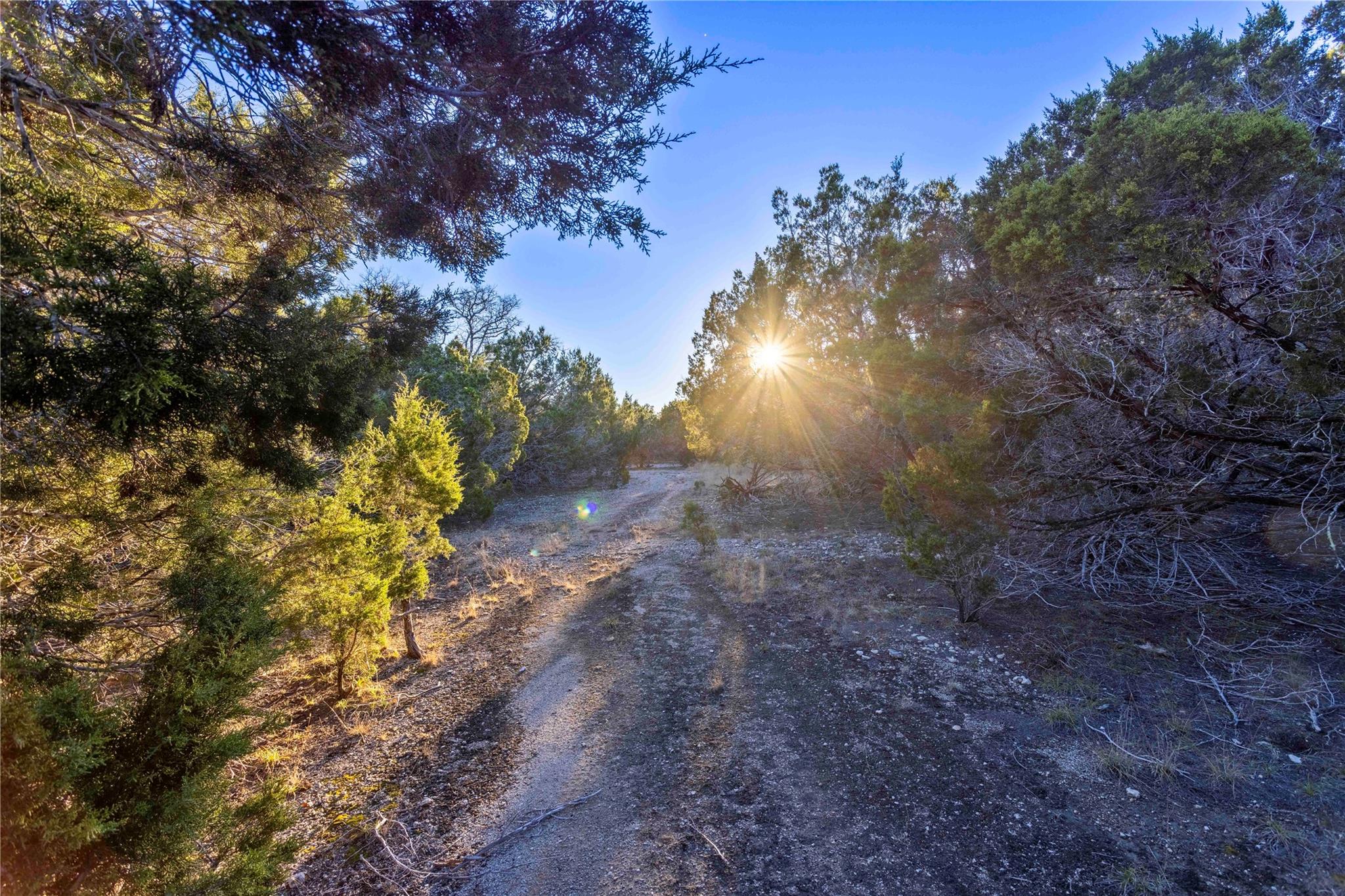 Lot 1 County Road 108 Property Photo 16