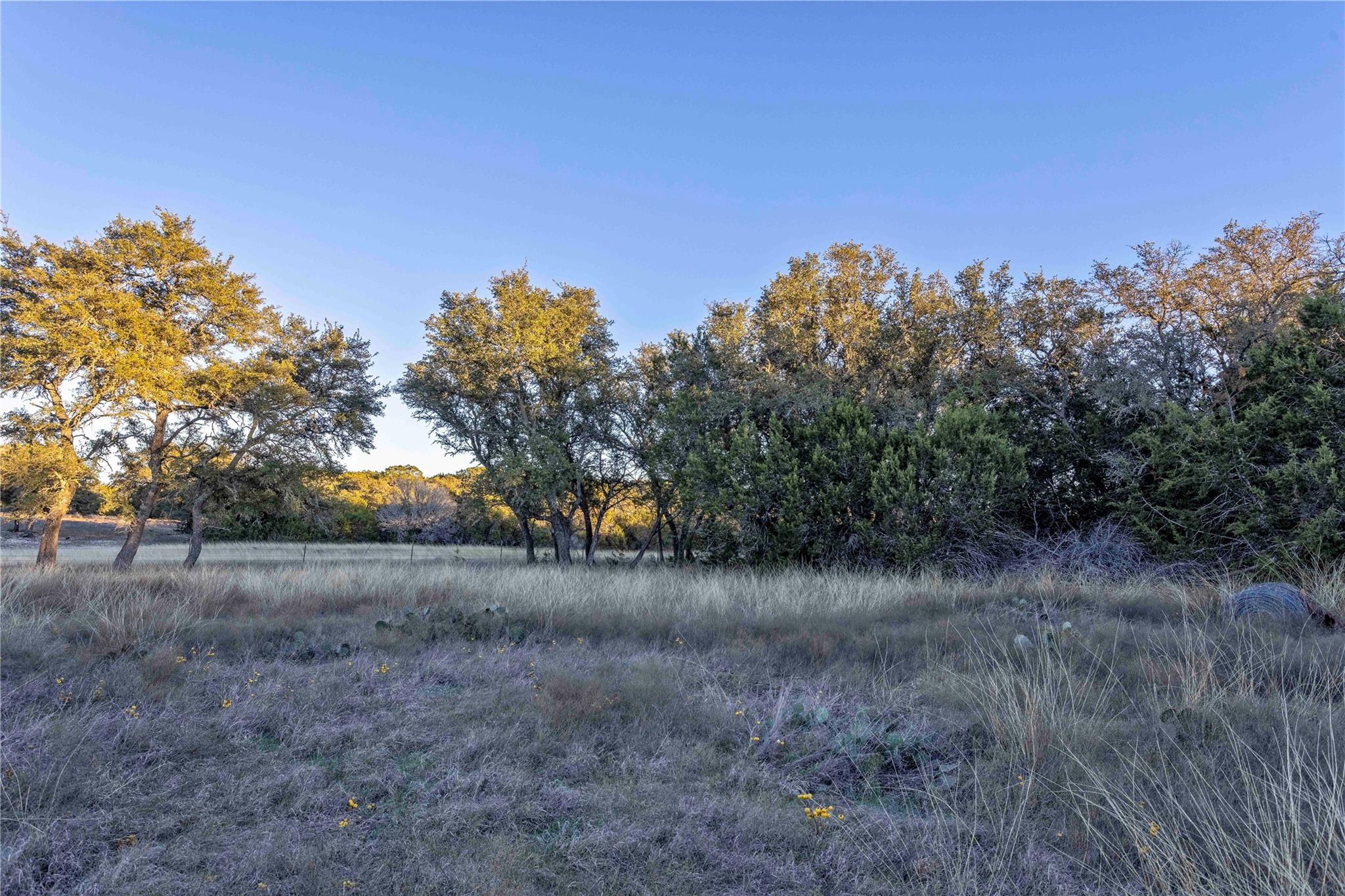 Lot 1 County Road 108 Property Photo 18