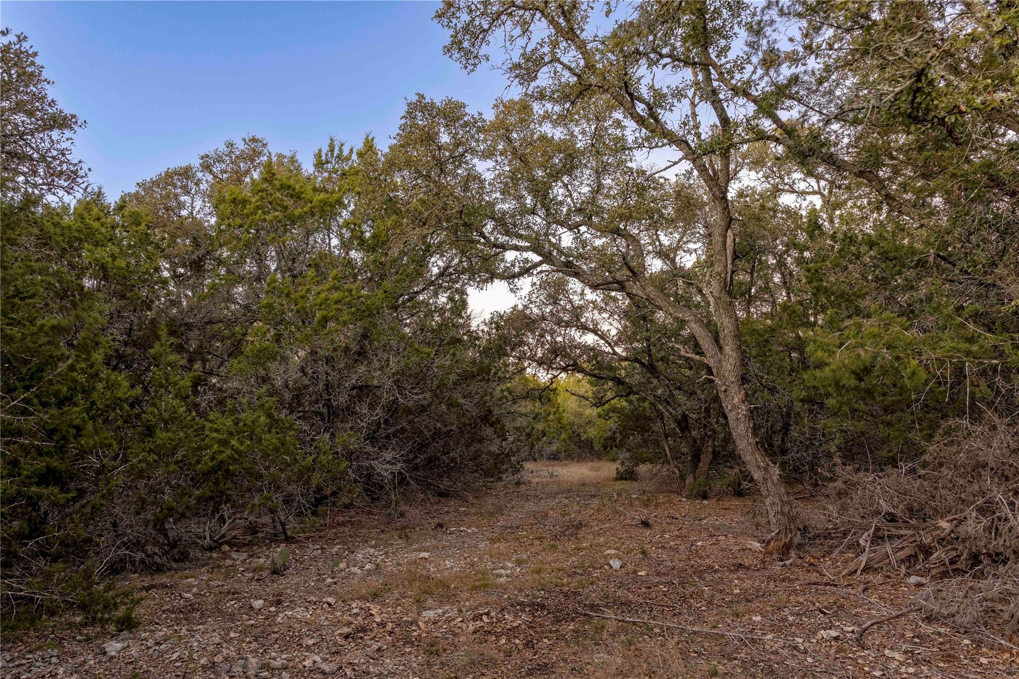 Lot 1 County Road 108 Property Photo 24