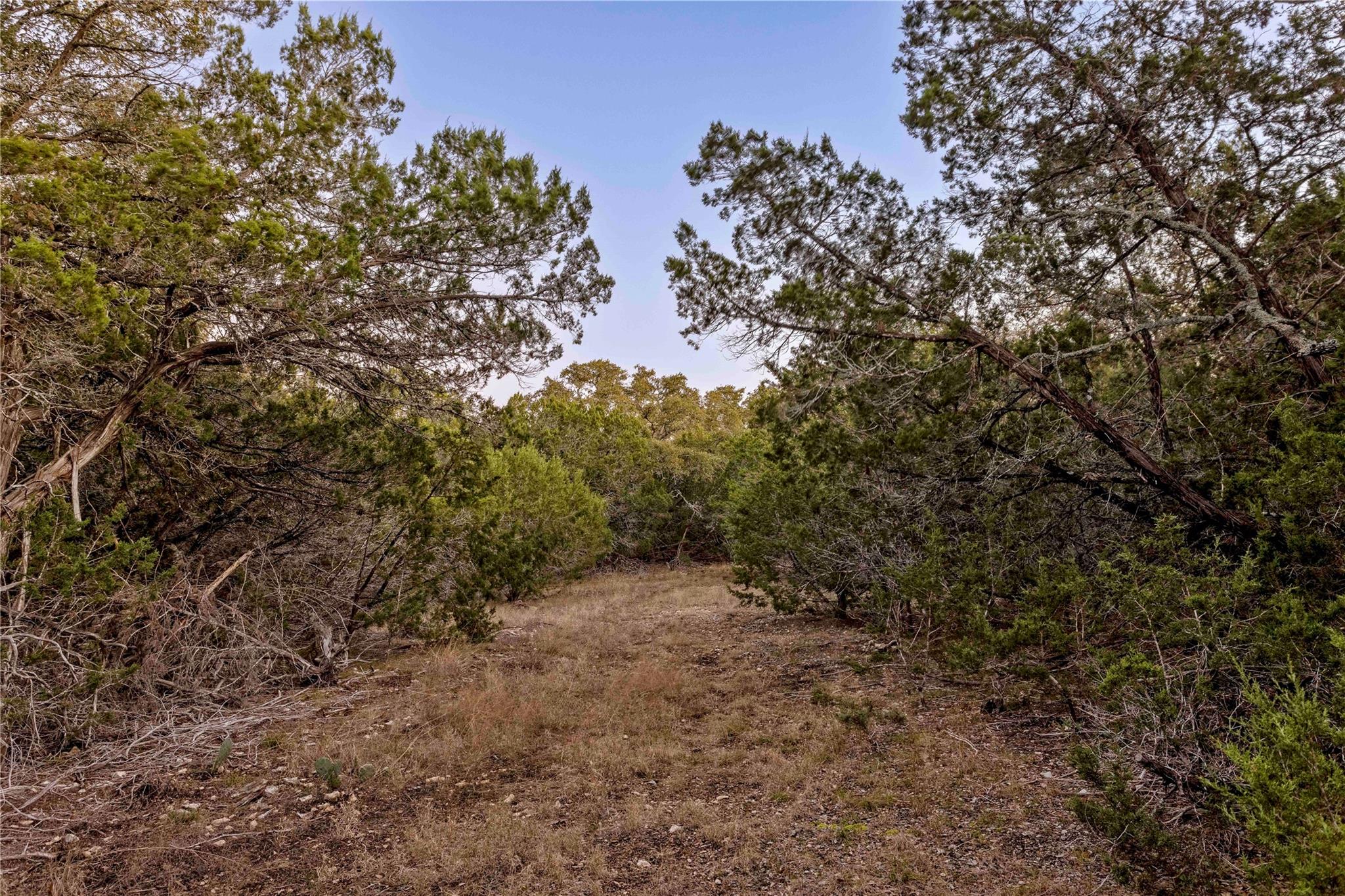 Lot 1 County Road 108 Property Photo 25