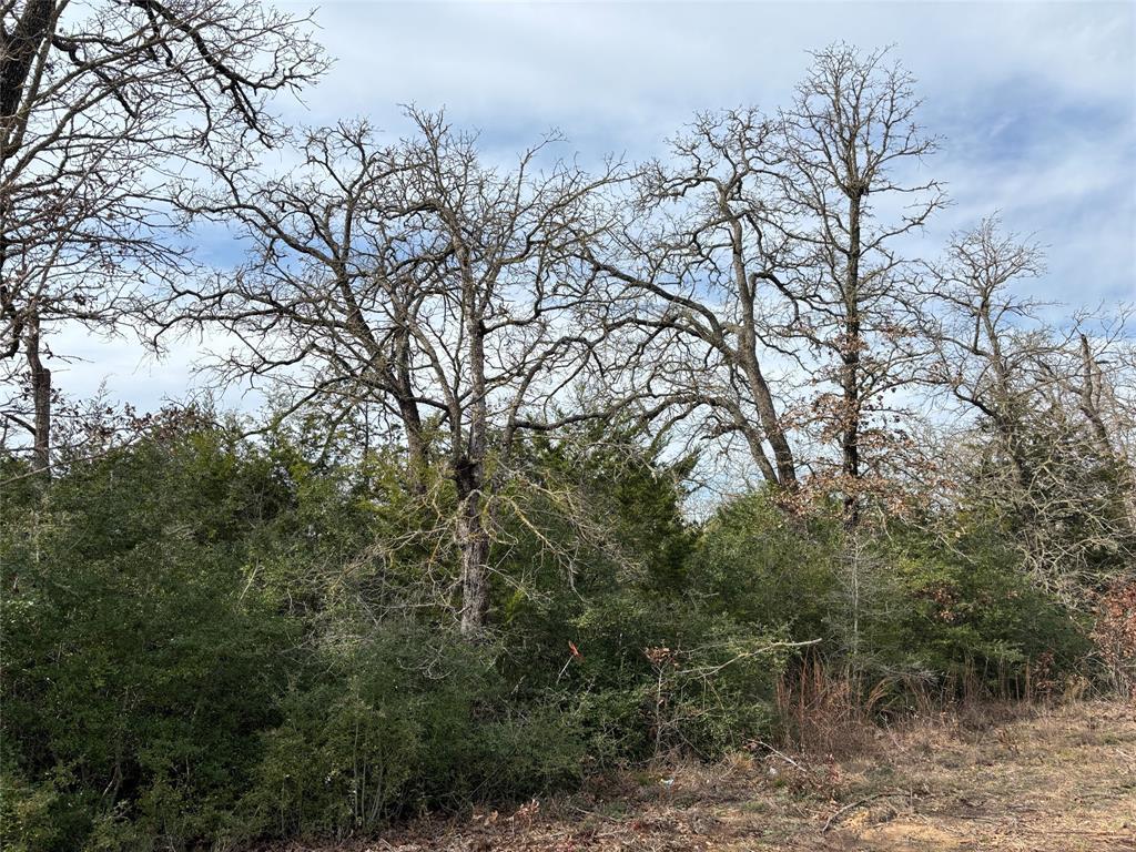 Lot 64 Shadow Oaks Dr Property Photo