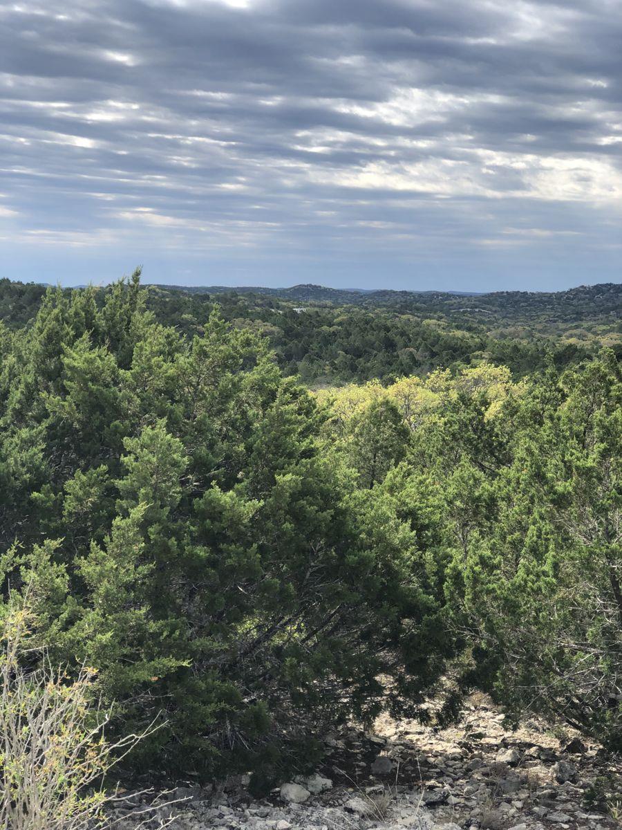 Tbd County Road 635 None Property Photo 1