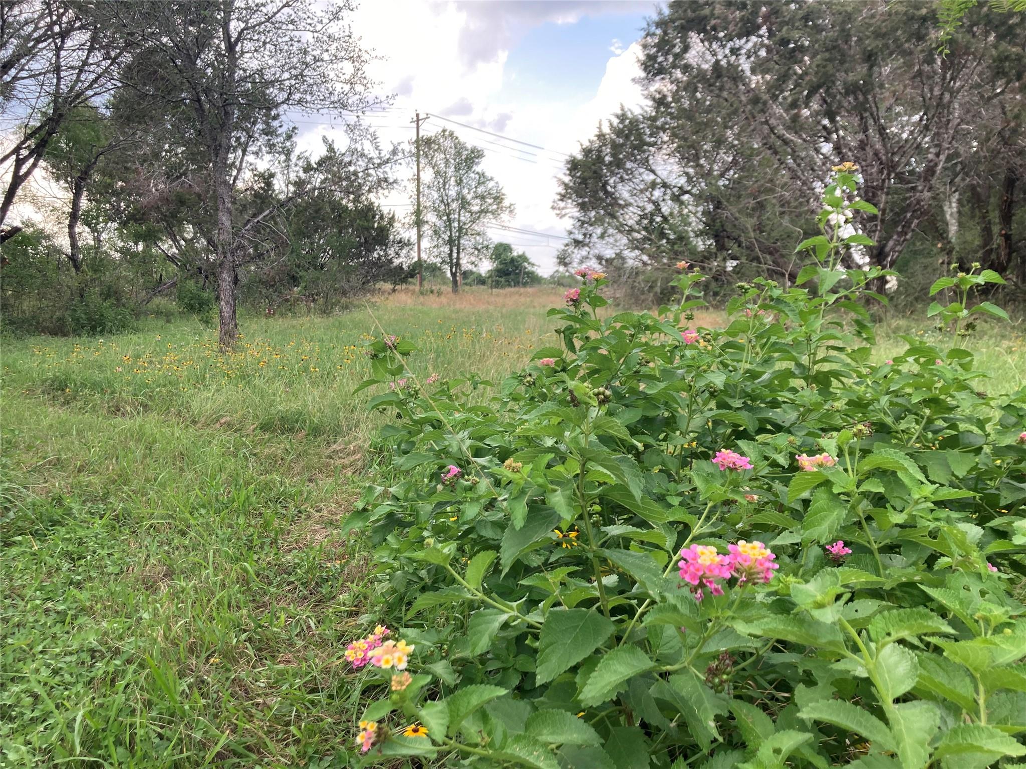 4300 Kellywood Dr Property Photo 10