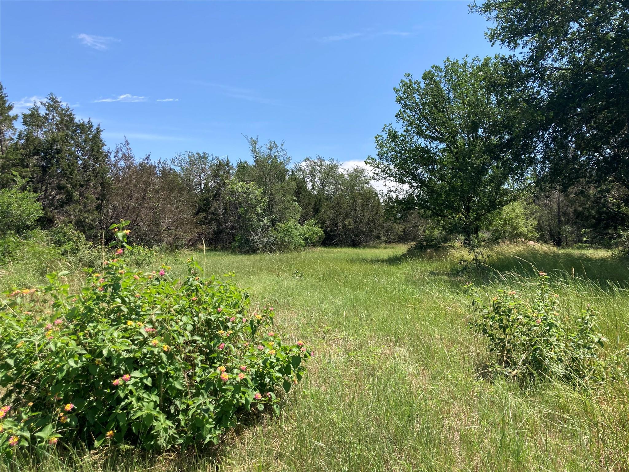 4300 Kellywood Dr Property Photo 11