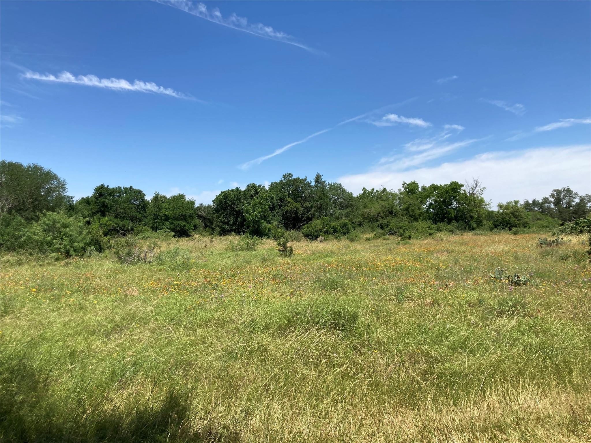 4300 Kellywood Dr Property Photo 12