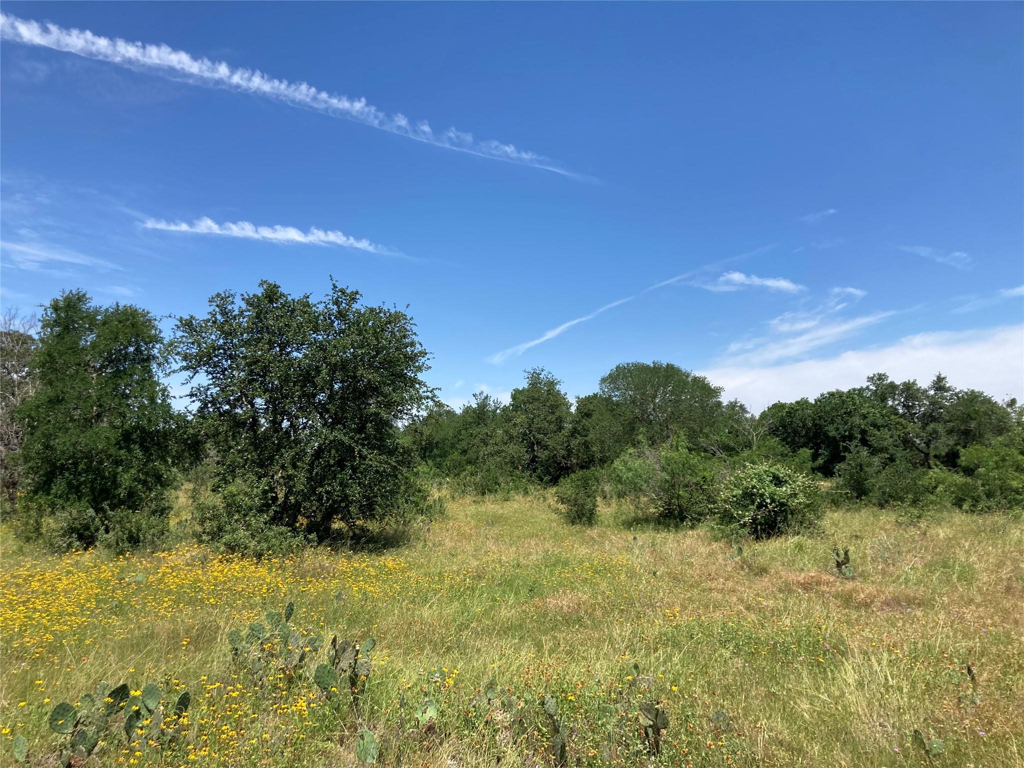 4300 Kellywood Dr Property Photo 13
